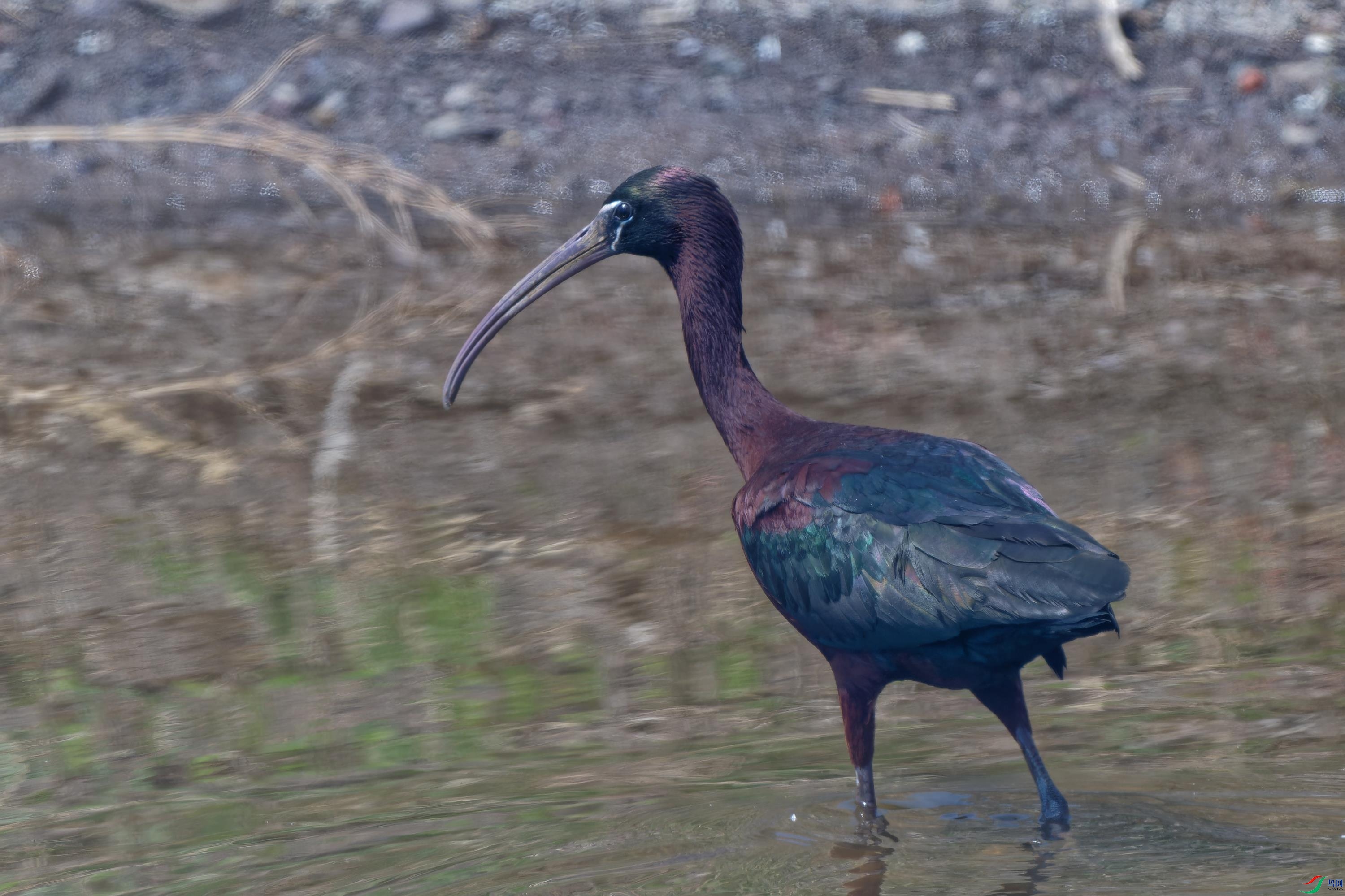 DSC_2025.jpg