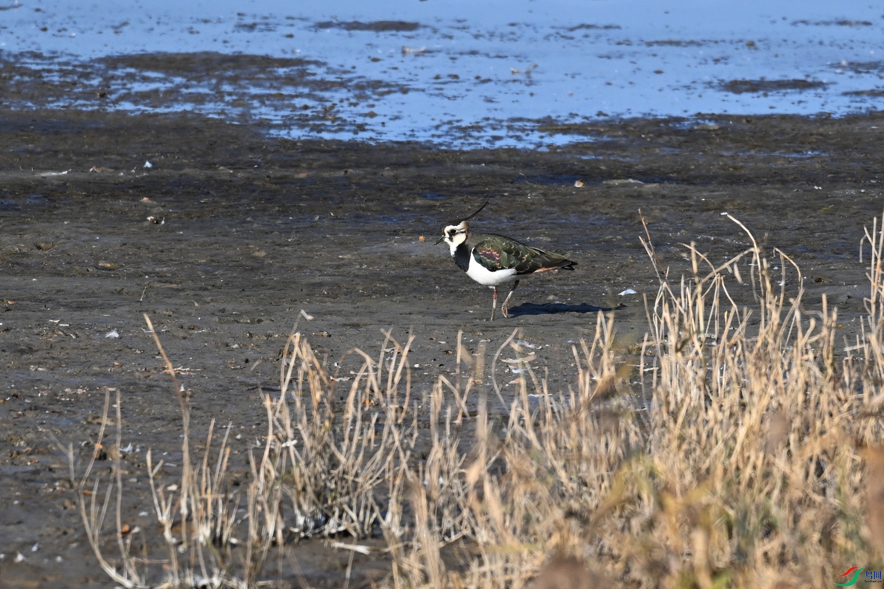 DSC_8361.JPG