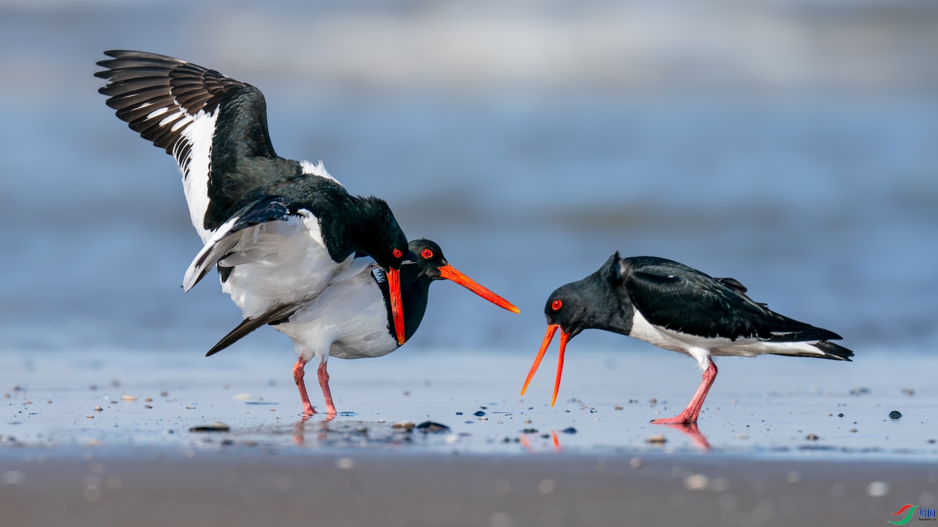 ÿ�ռ���   ����Ĺ��� ���� �������� ��һ.jpg