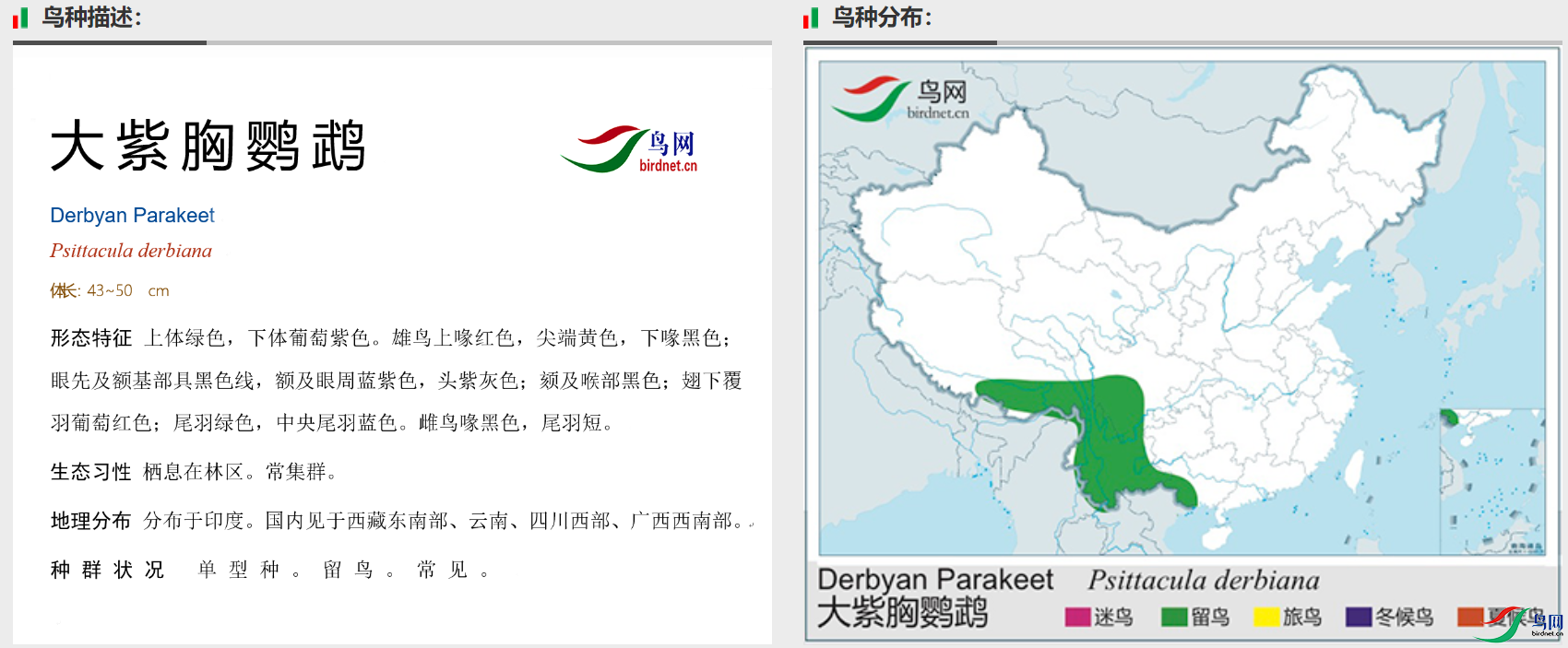 31033acda244be2aff69d36db9bfe62.png