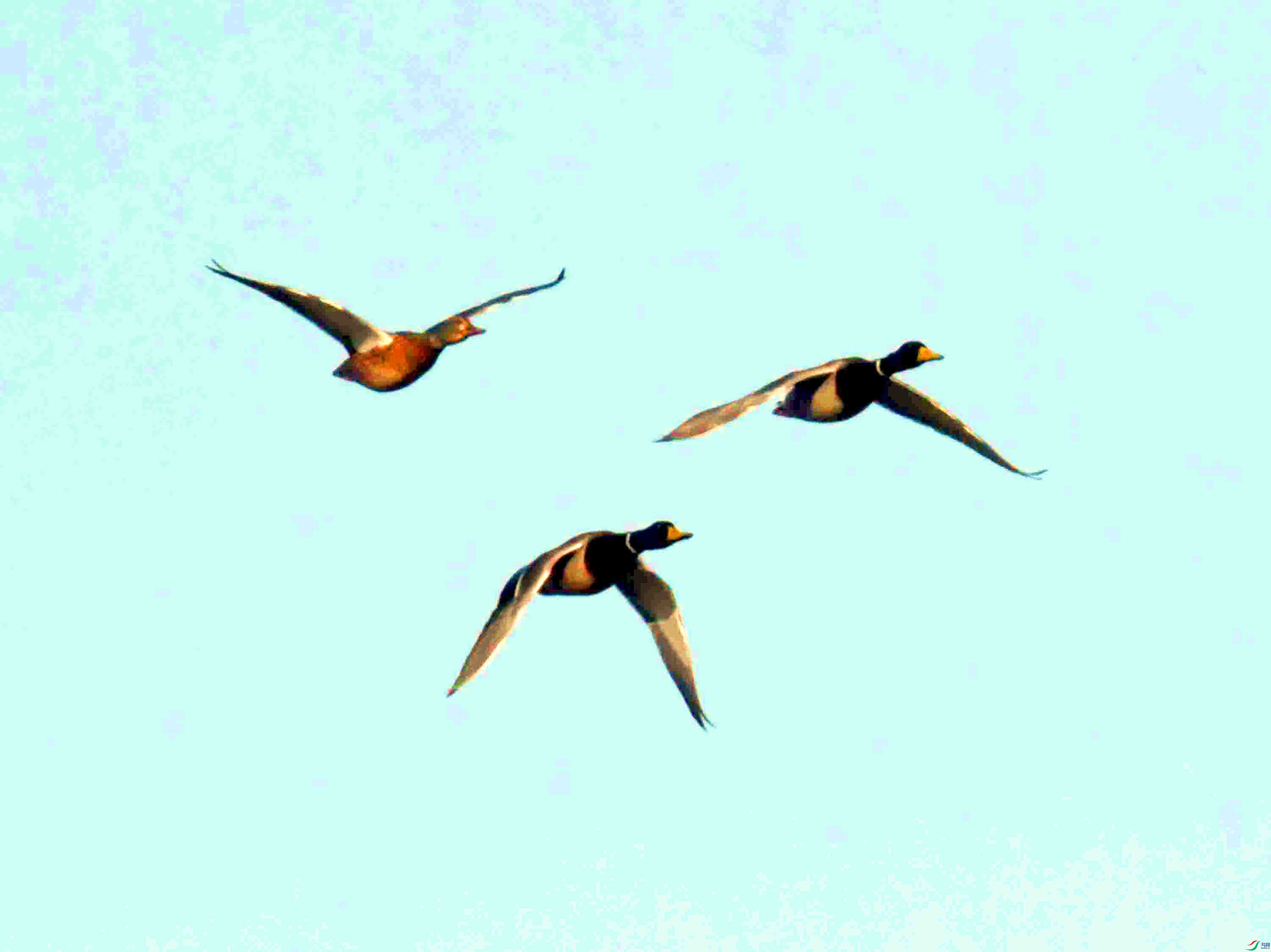DSC_2047.JPG