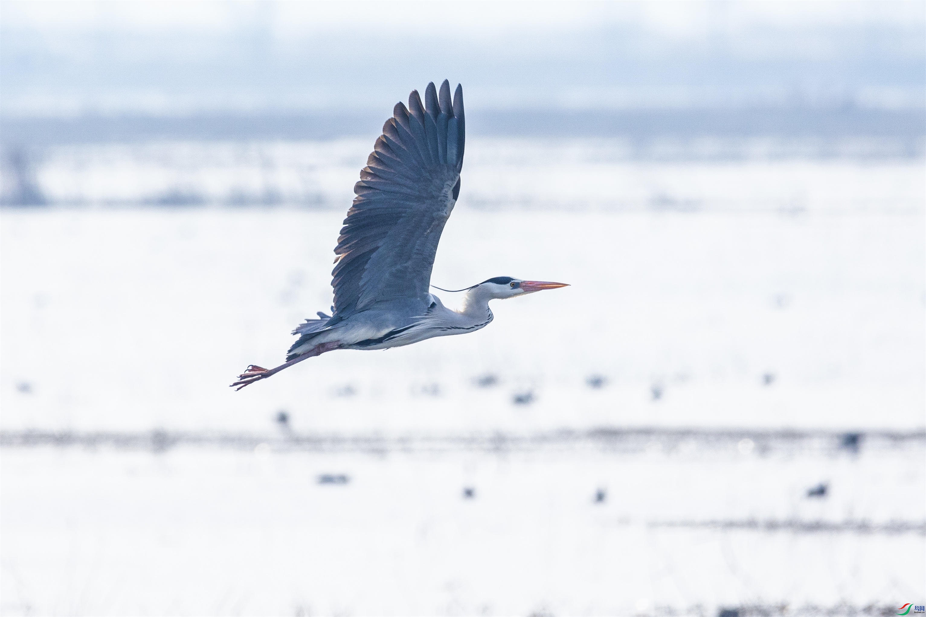 1K3A3192 ����1.jpg