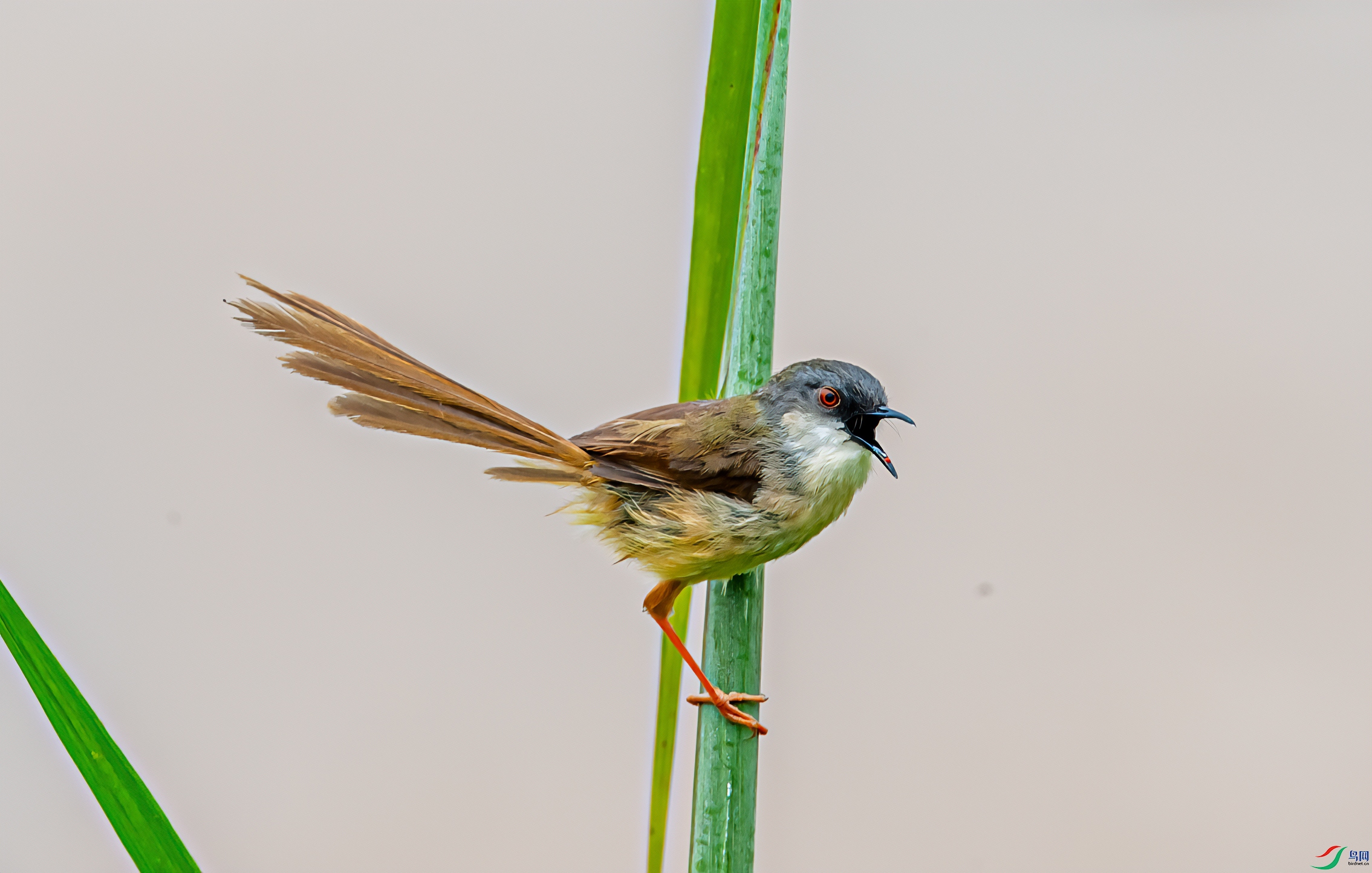 _DSC9588-1.jpg
