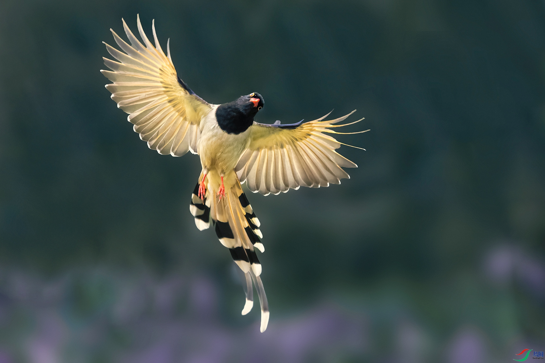 ������ȸ----��ȶ���