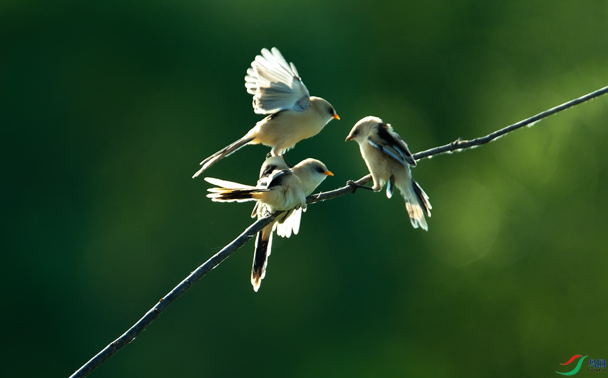 DSC_9105.jpg