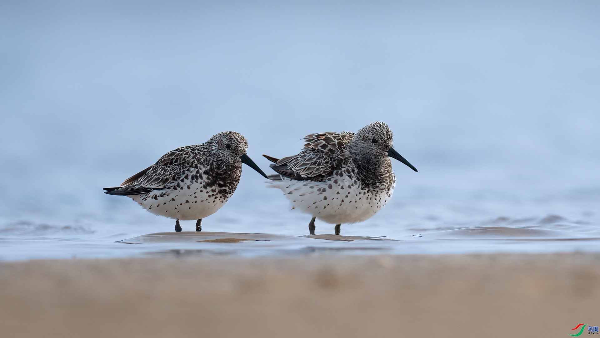 һ�Զ�  ���� ���� ��һ.jpg