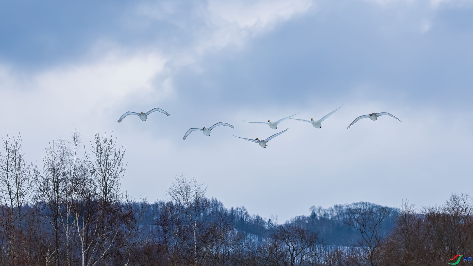 �������� ���� ɳ���Խ� ��һ.jpg