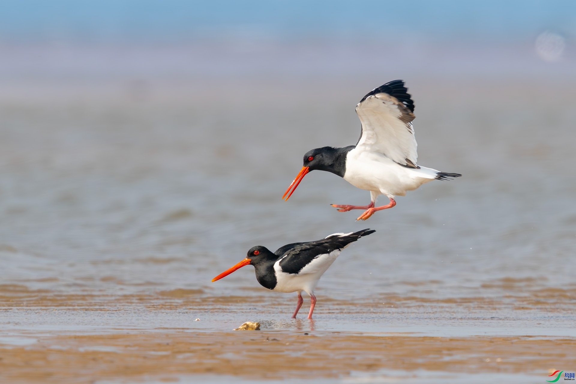 �������� ���� 0459����  ��һ.jpg