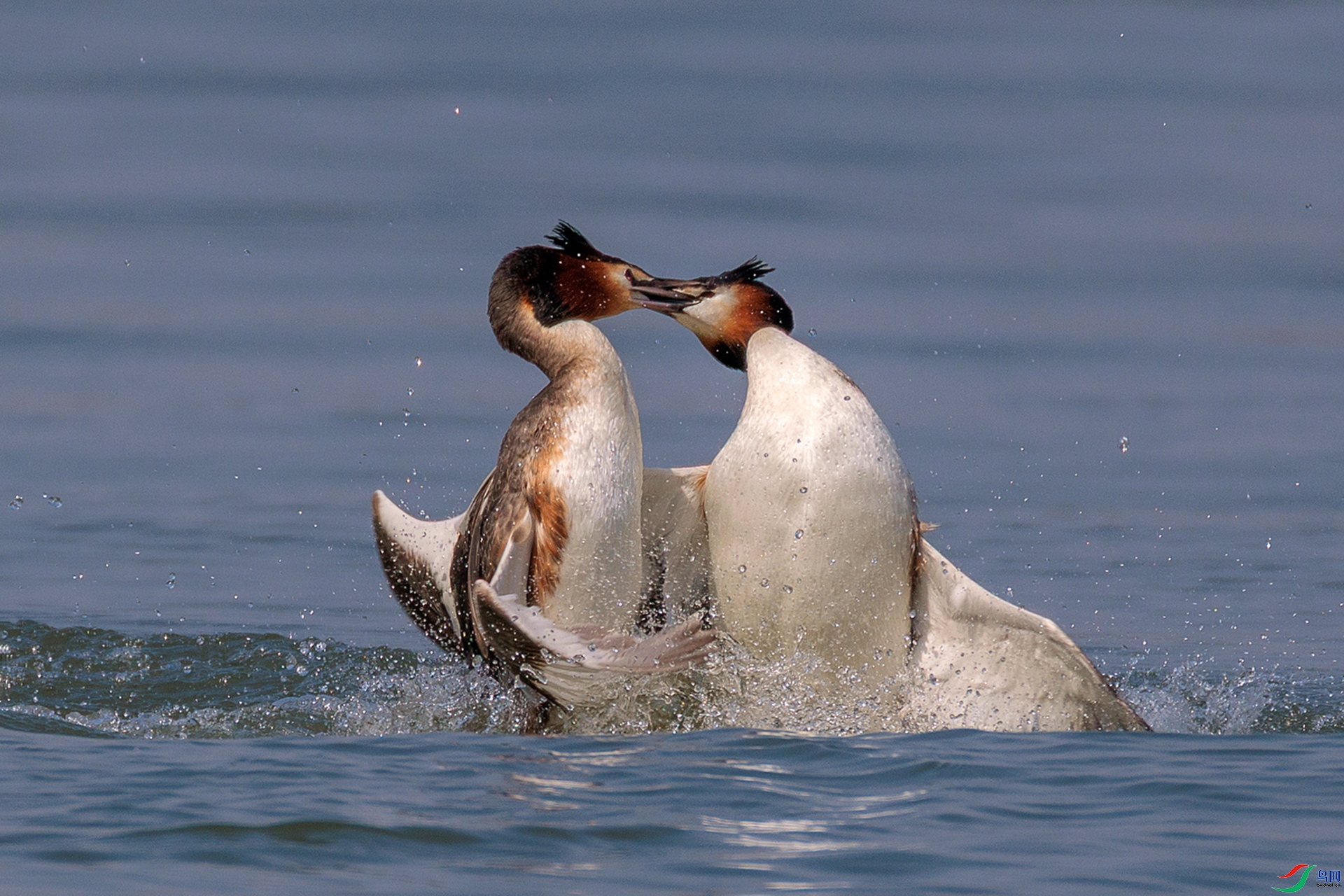 ��սʱ��  ���� ���¹�Ӱ ��һ.jpg