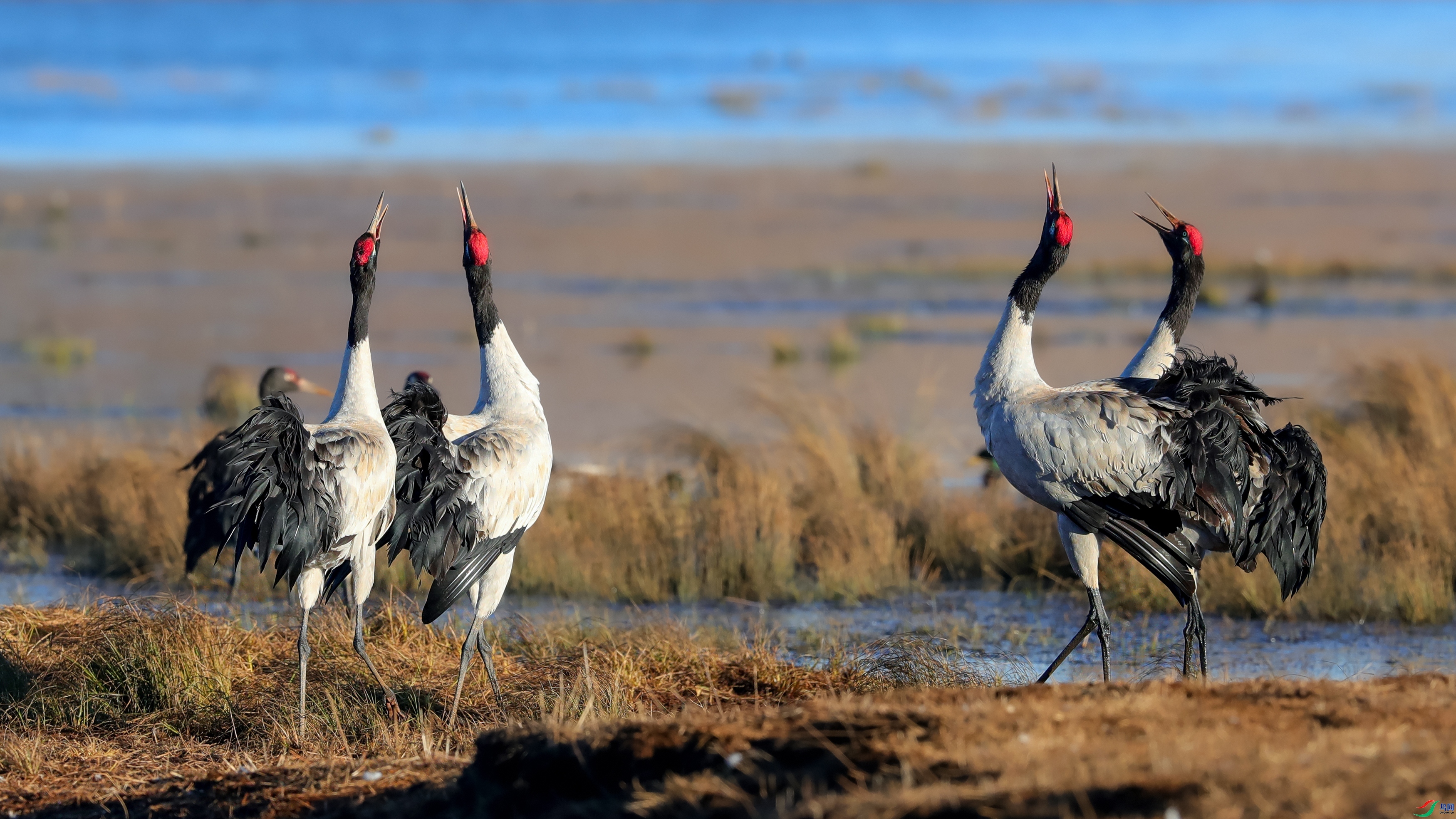 �Ը�  ���� ���� ��һ.jpg