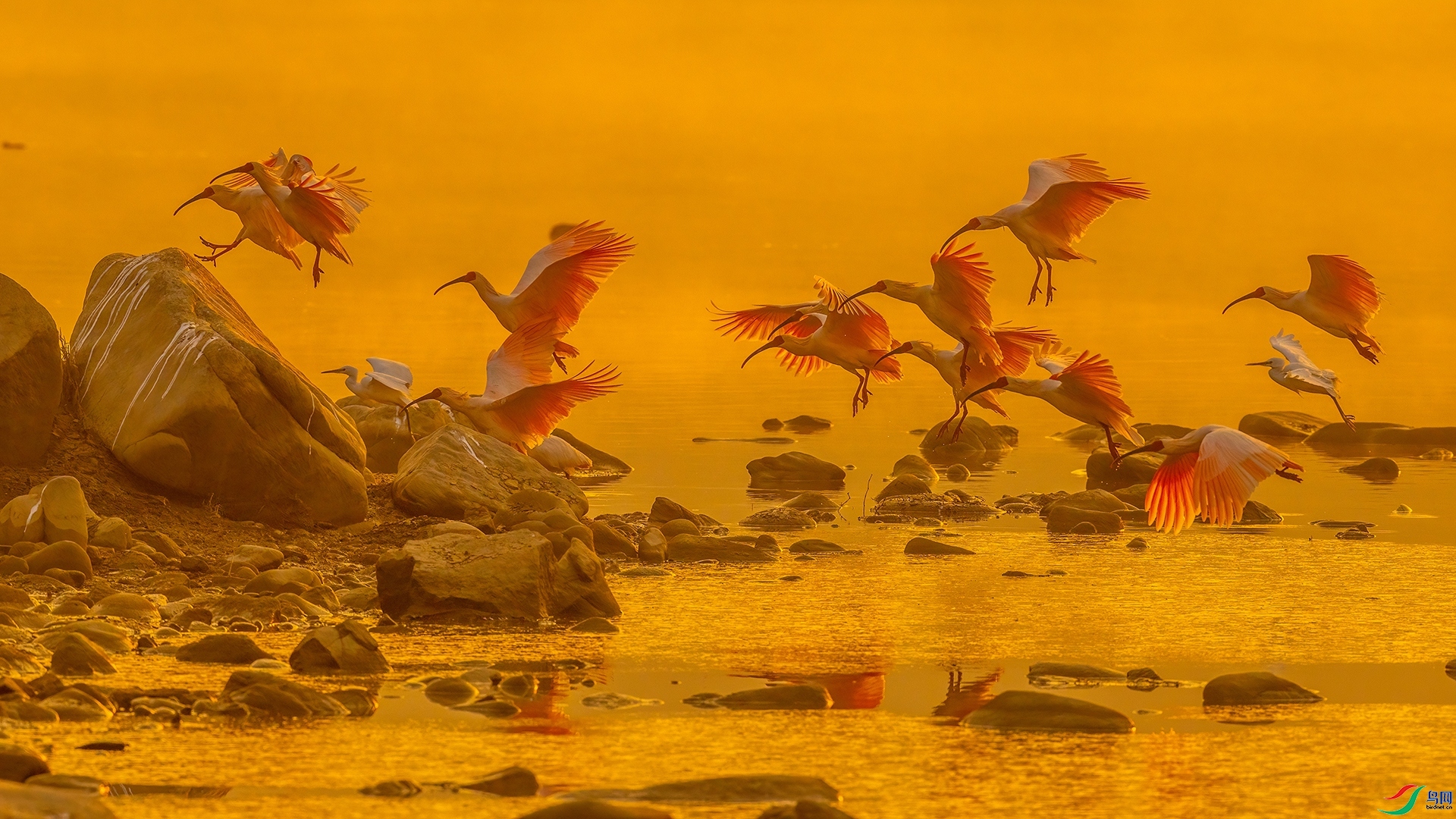 �����q��  ���� ������ ��һ.jpg