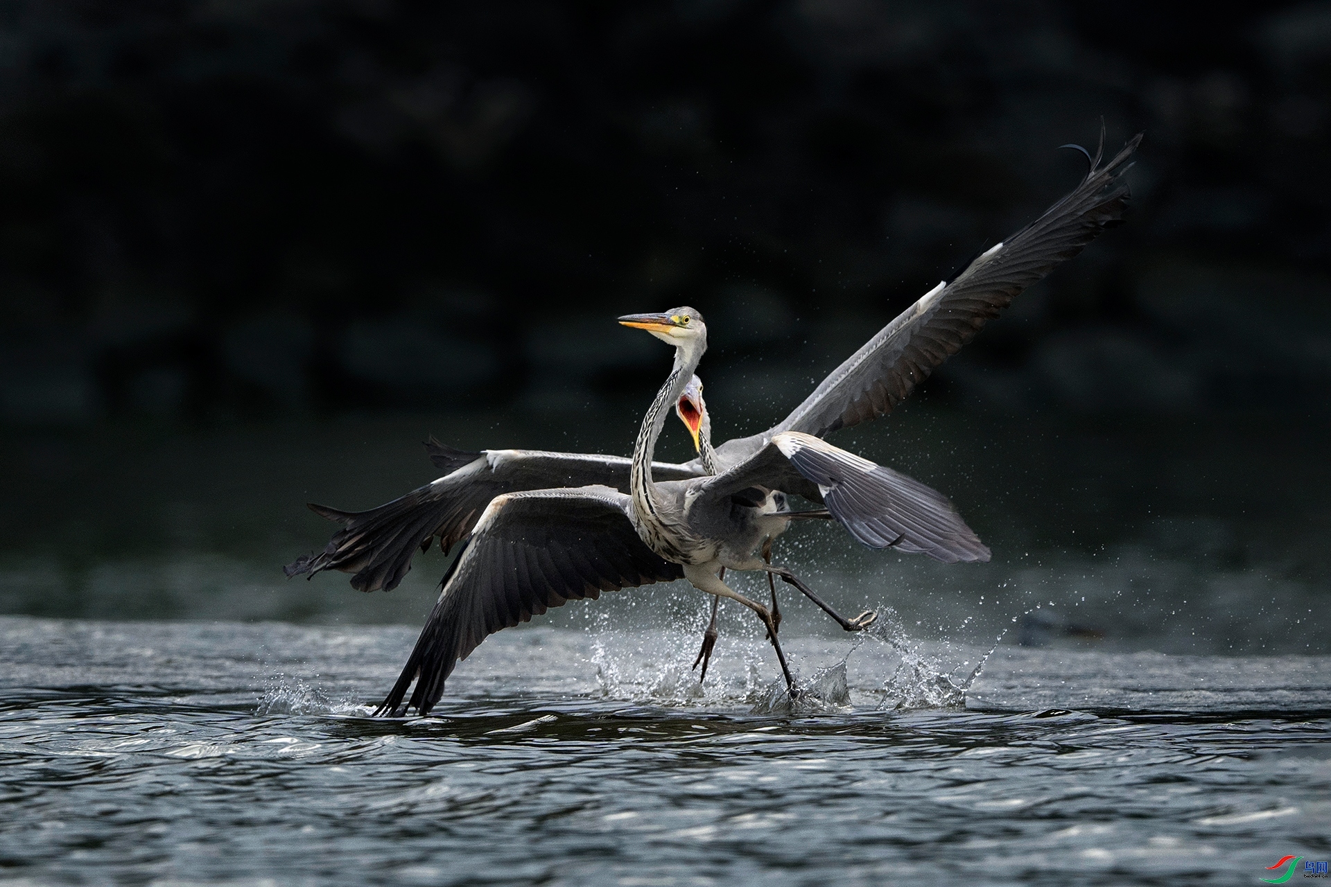 ���� ���� �ϫ �ܶ�.jpg