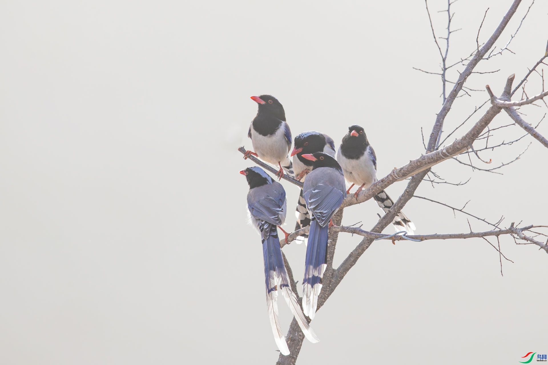 С��  ���� ɽɽɽ �ܶ�.jpg