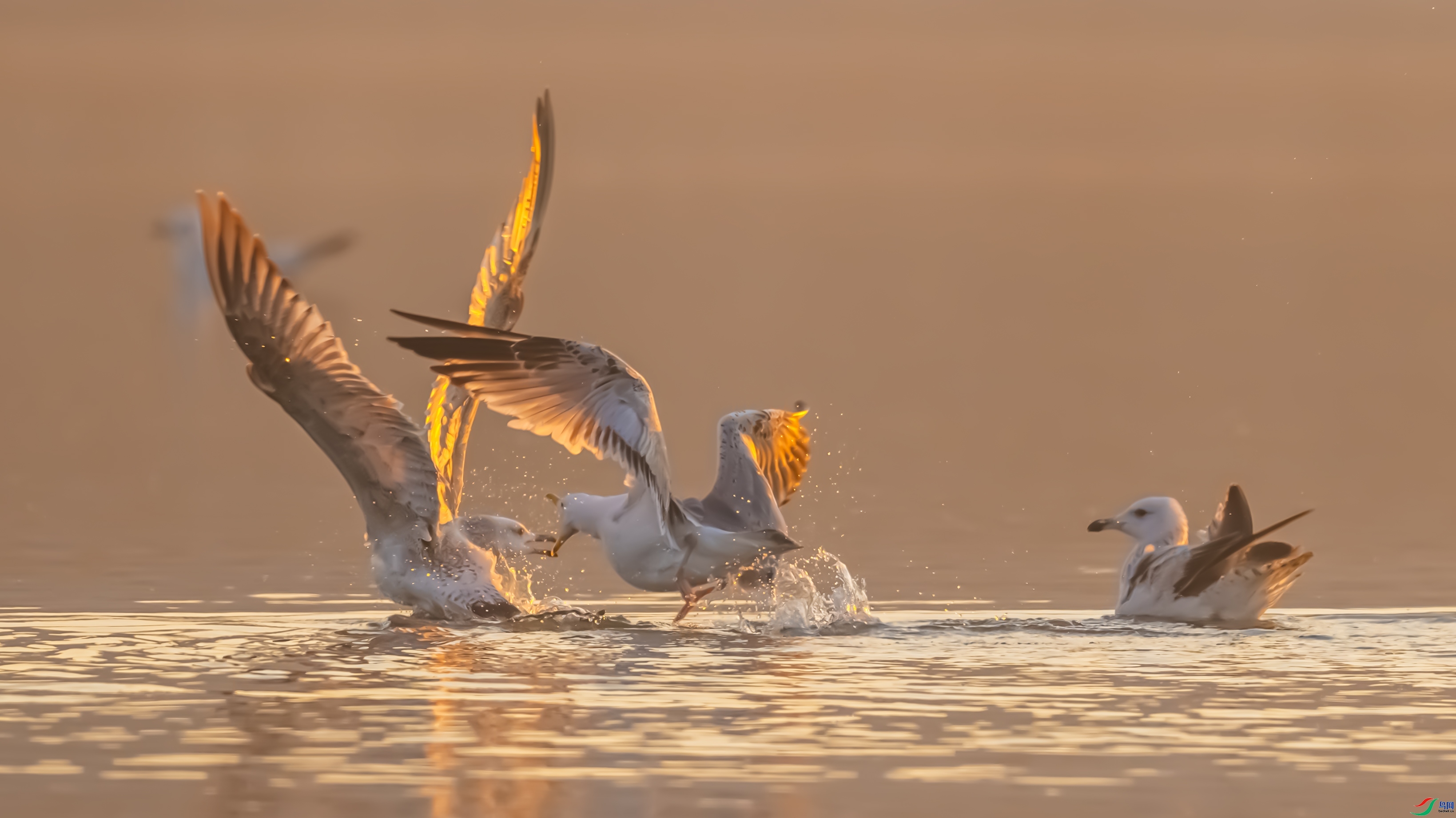 Ϊ����ս  ���� ������ͷ �ܶ�.jpg
