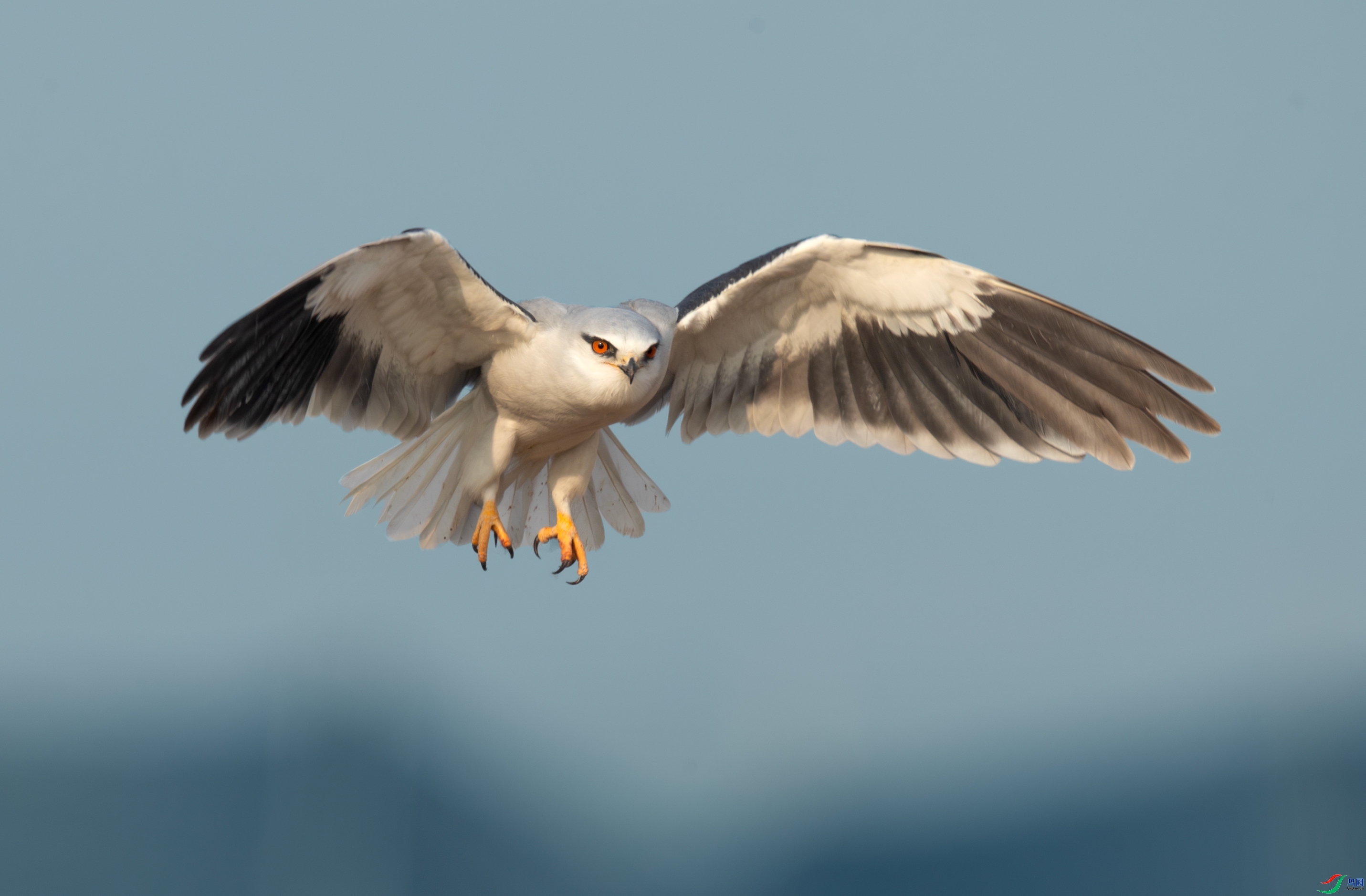 �������� ���� һ·���� �ܶ�.jpg