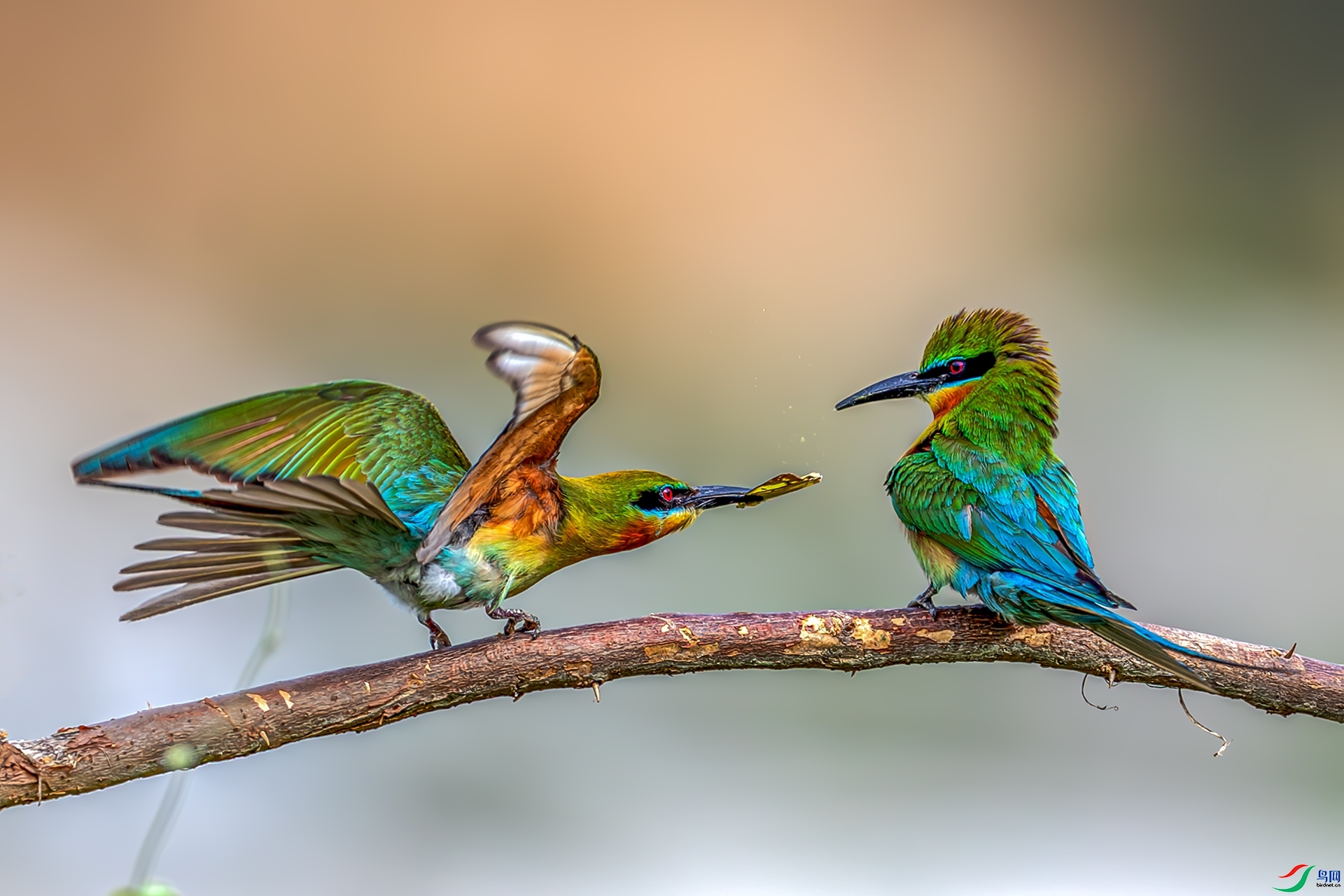 �͸��� ���� ����ǿ �ܶ�.jpg