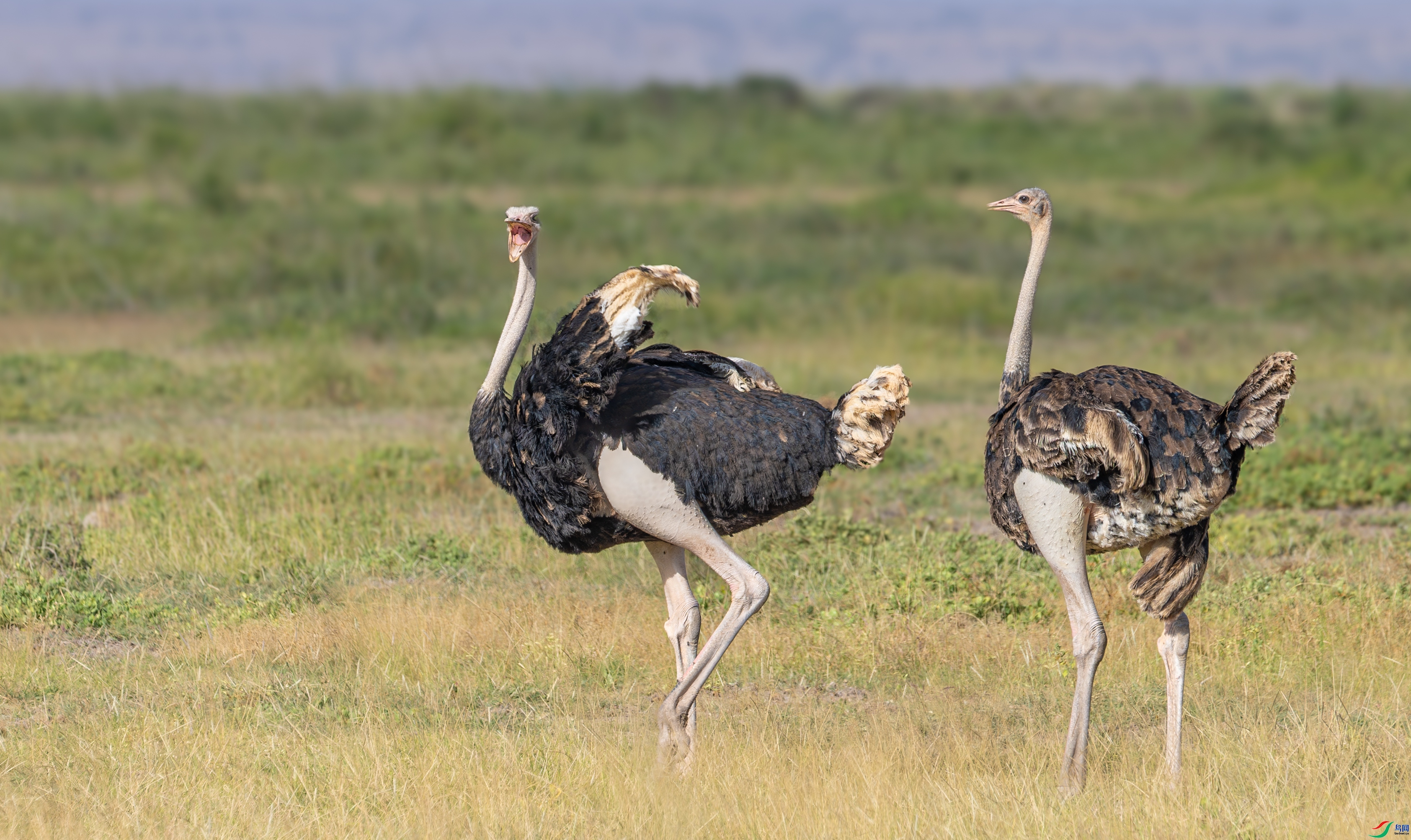 ����  ���� ��Ͽ֮�� �ܶ�.jpg