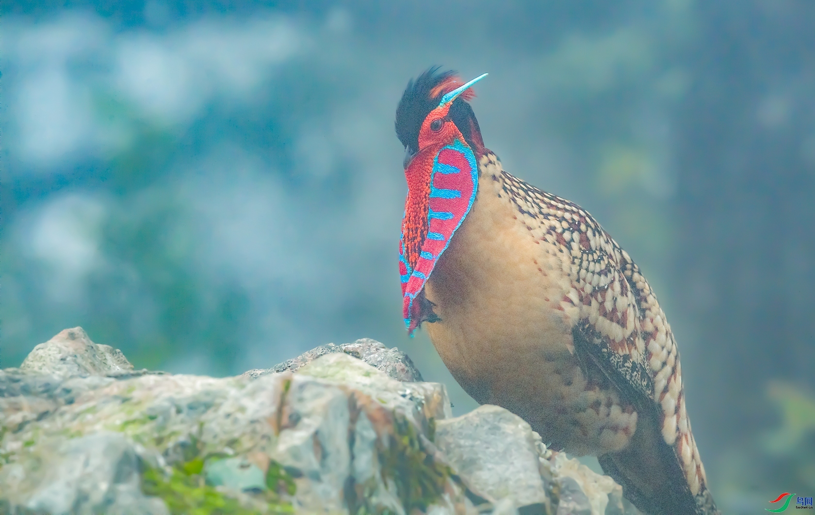 �츹���� ���� ���� �ܶ�.jpg