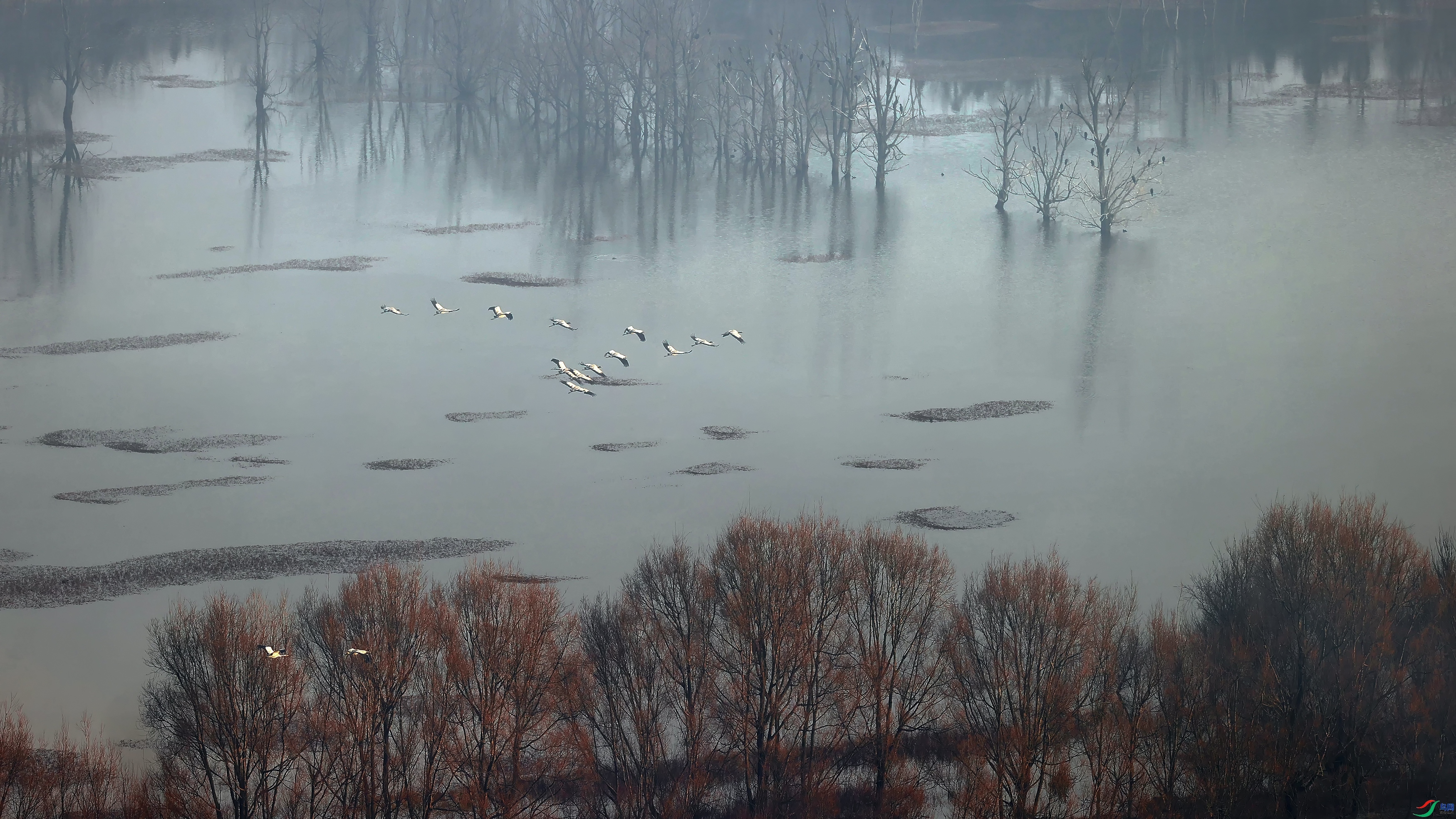 ����ھ���--    ���� ���� ����.jpg