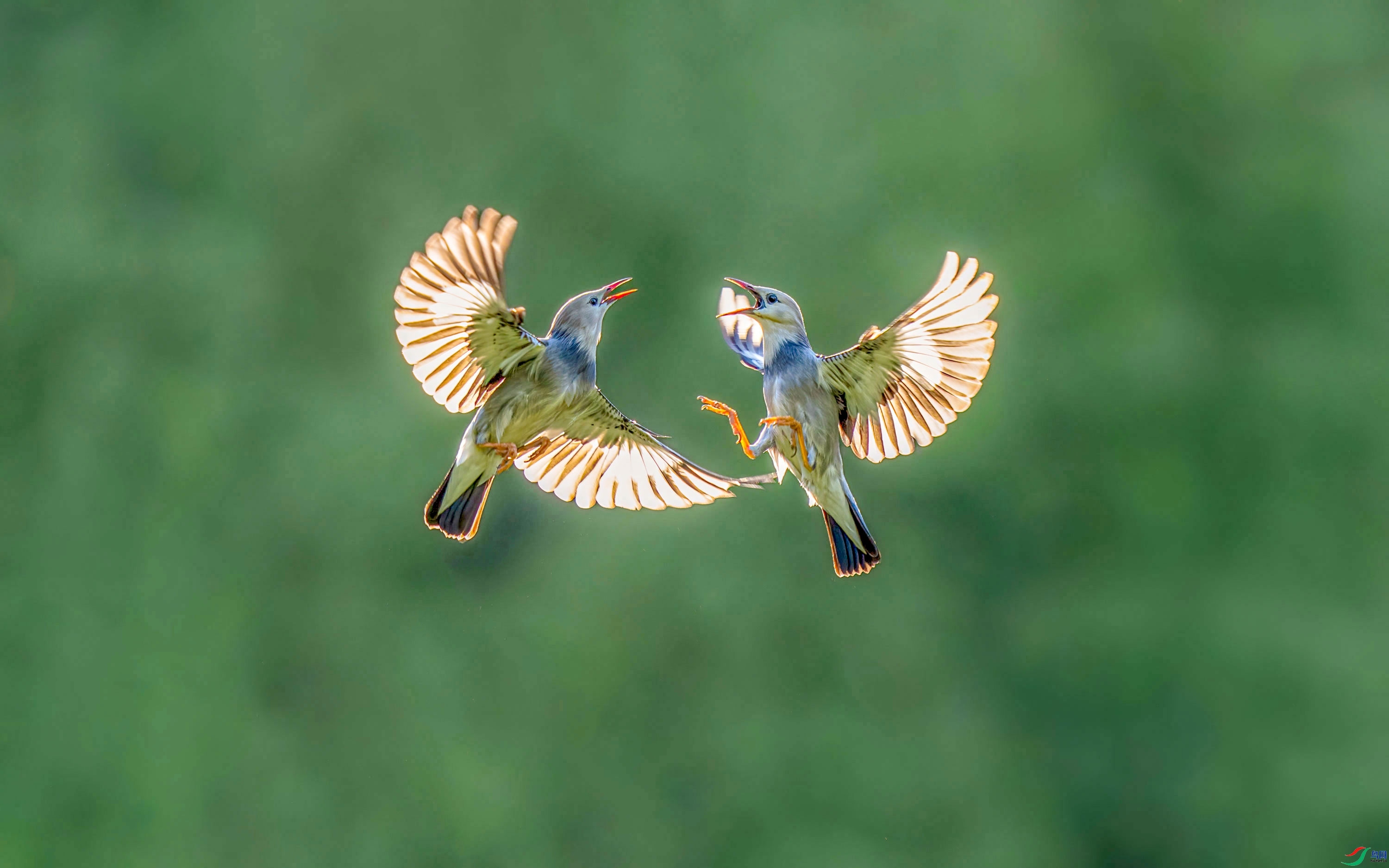 �Ի�  ���� ���� ����.jpg