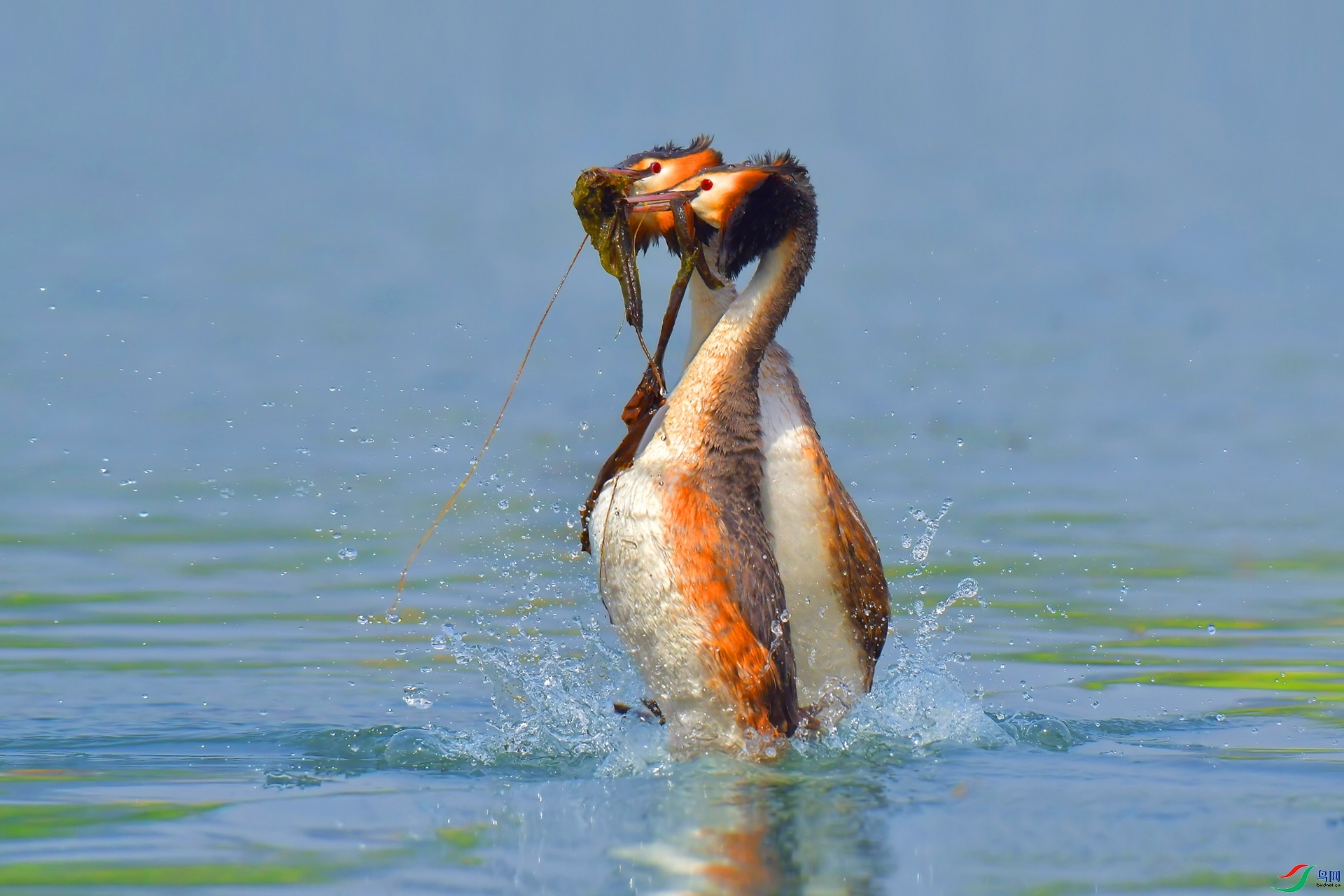 ������� ���� ����С�� ����.jpg