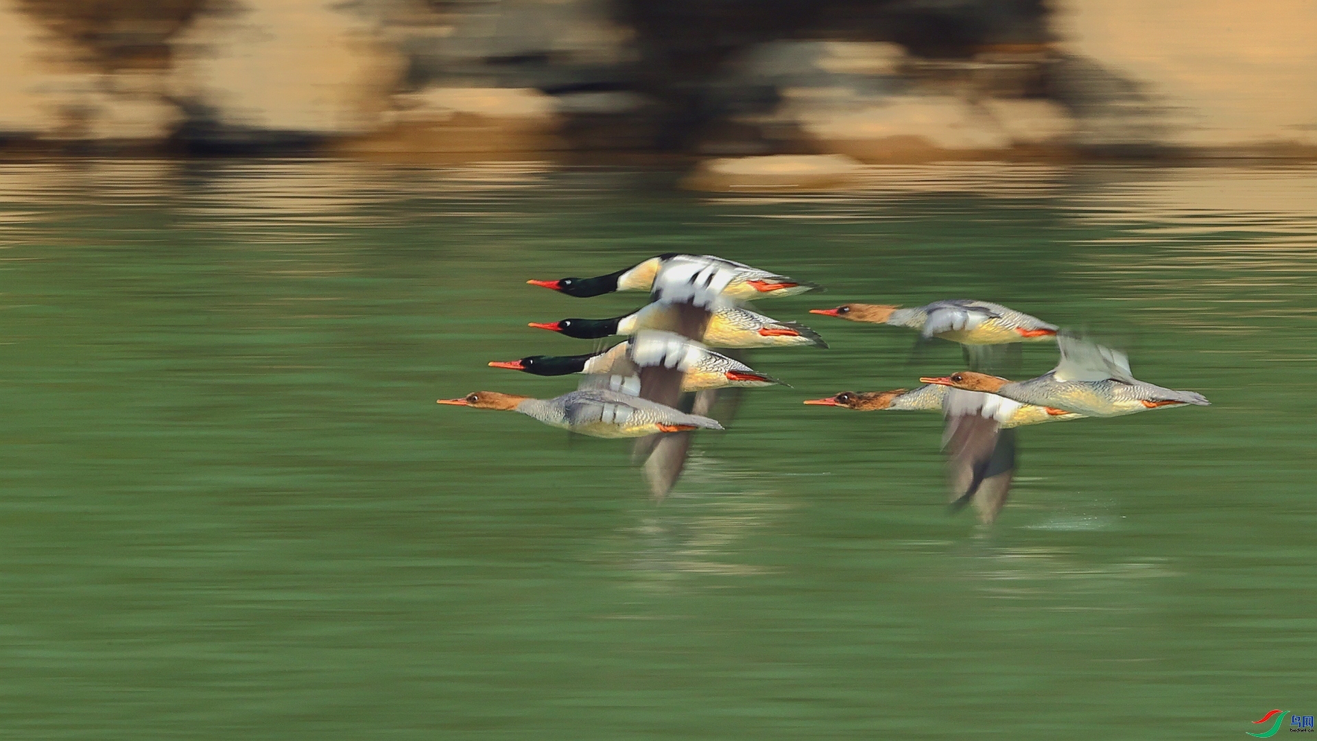 ��Ծ����Ϫ  ���� ��Ұ�Ÿ� ����.jpg