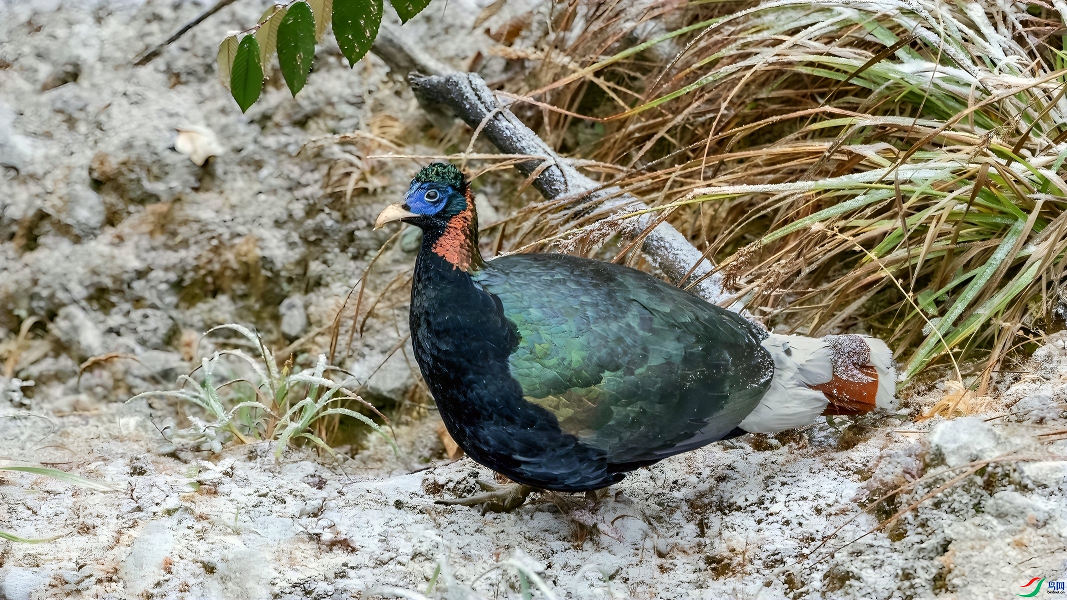 ��β�Һ���  ���� СС�ո� ����.jpg