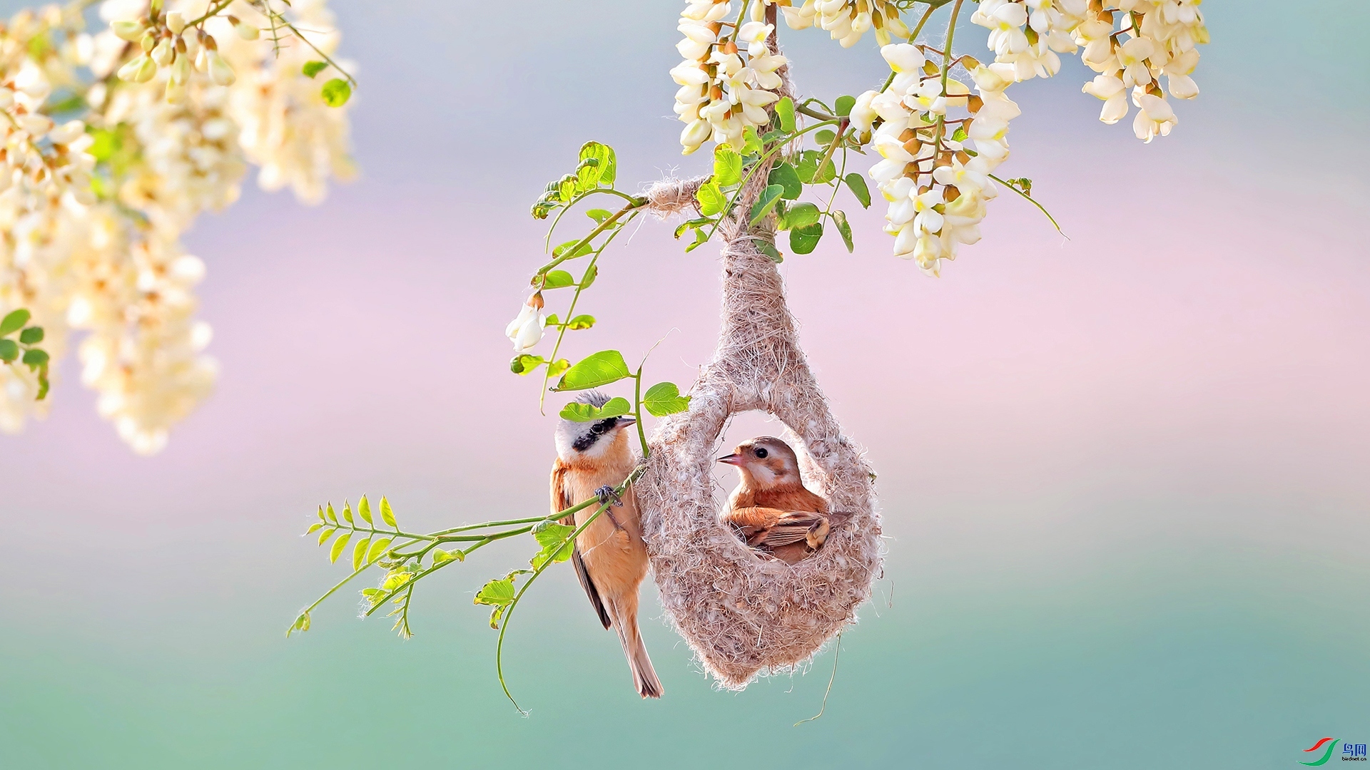 ��� ���� ������ ����.jpg