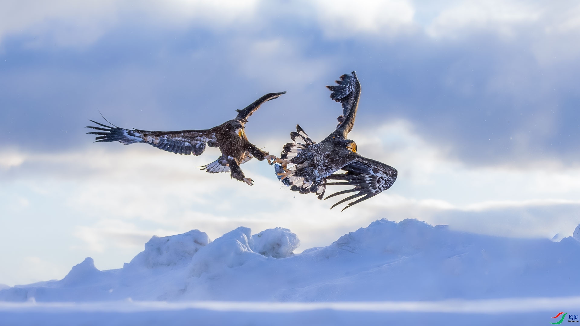 ��ս  ���� ɳ���Խ�   ����.jpg