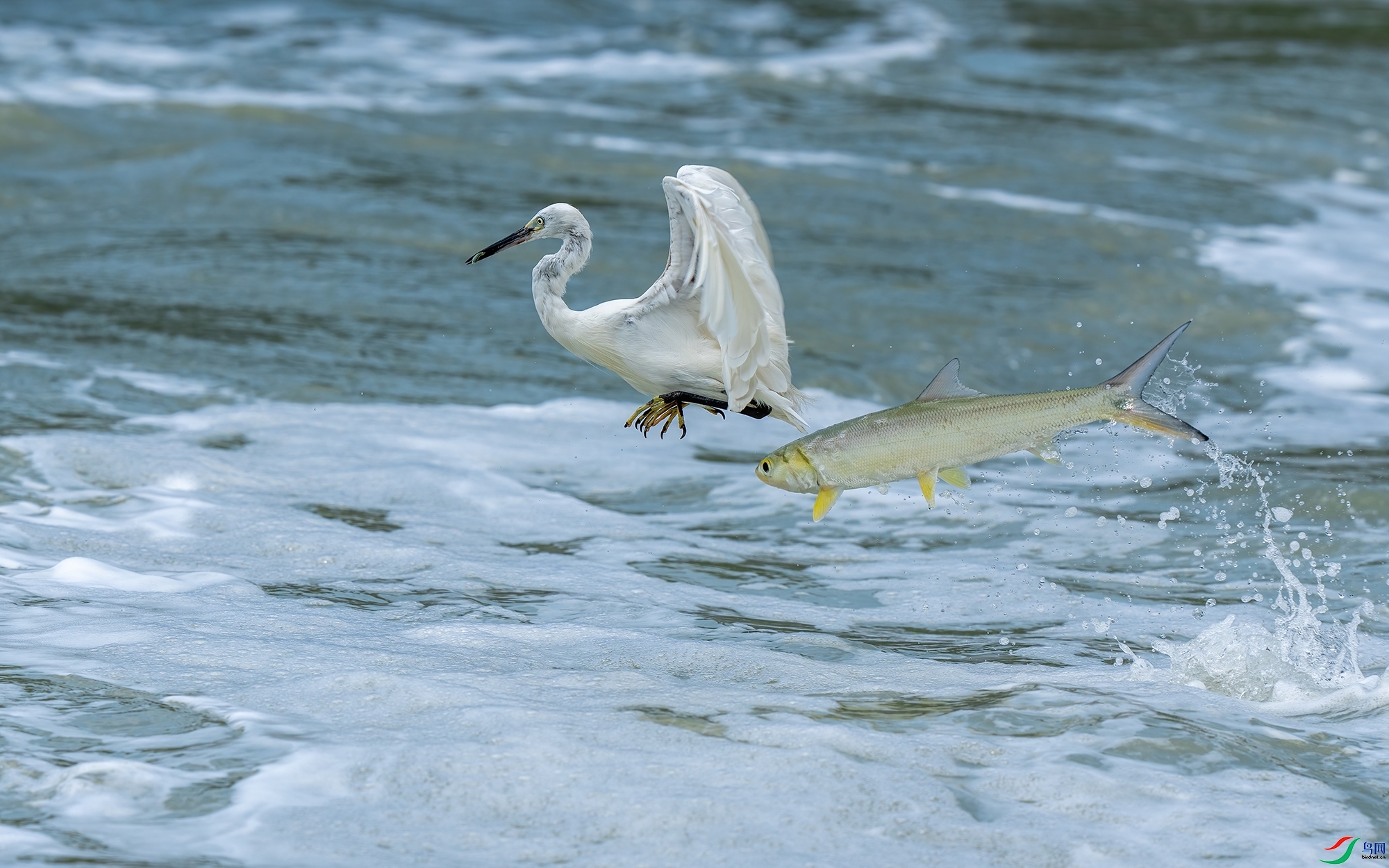 �ط���Ծ  ���� �ϫ ����.jpg