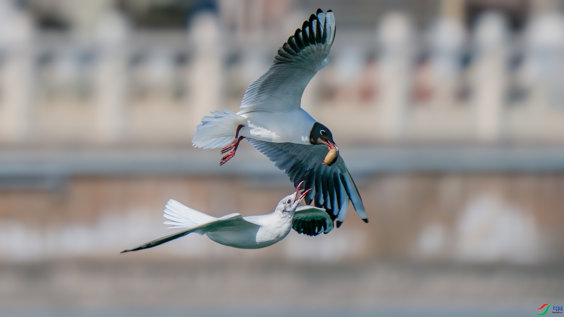 ���֮ң ���� �������� ����.jpg