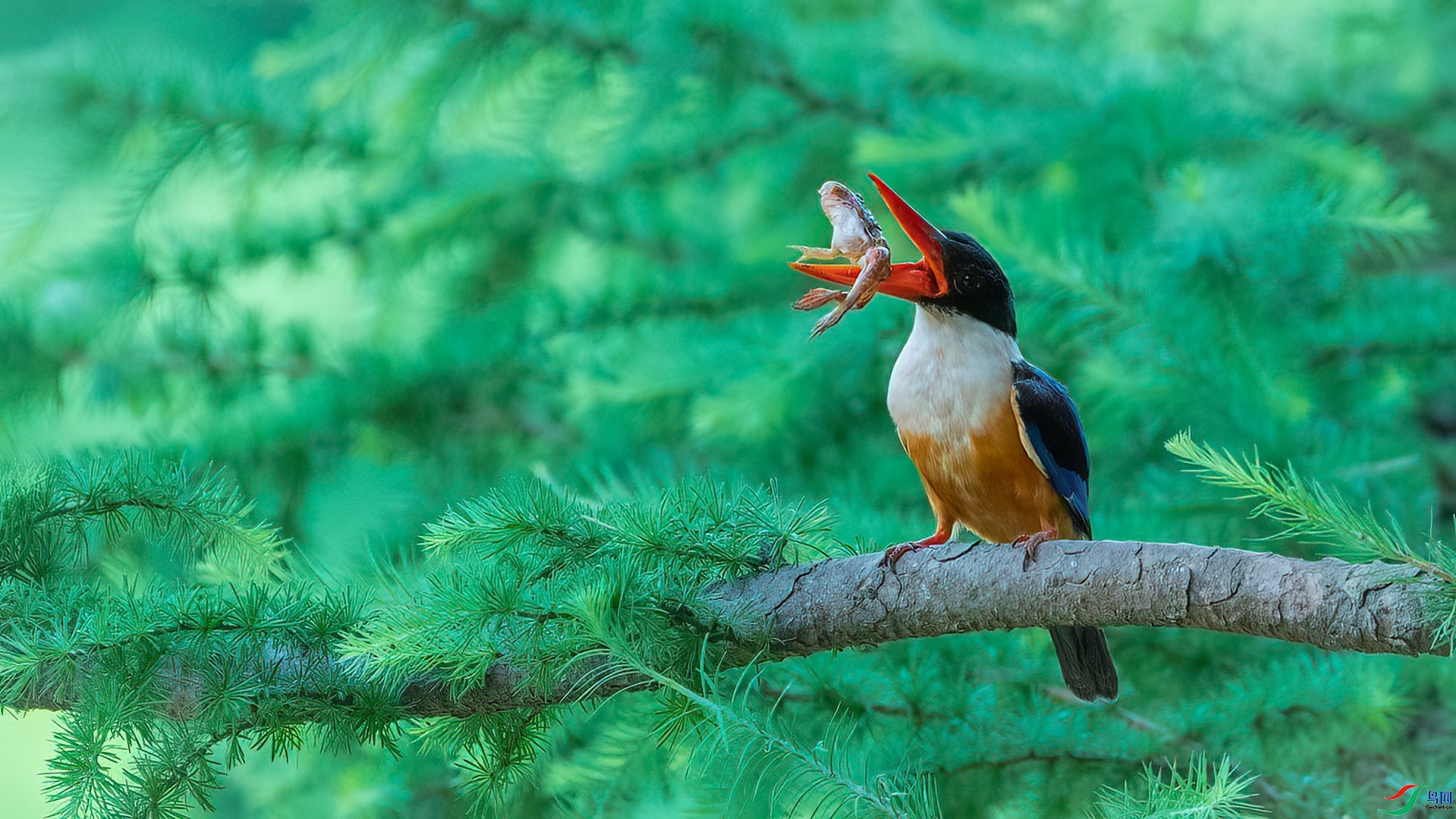 ���в� ���� ���� ����.jpg