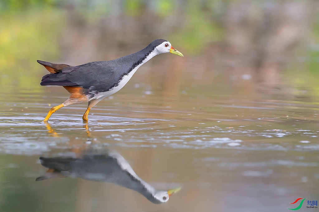 0F7A7651 ����.jpg