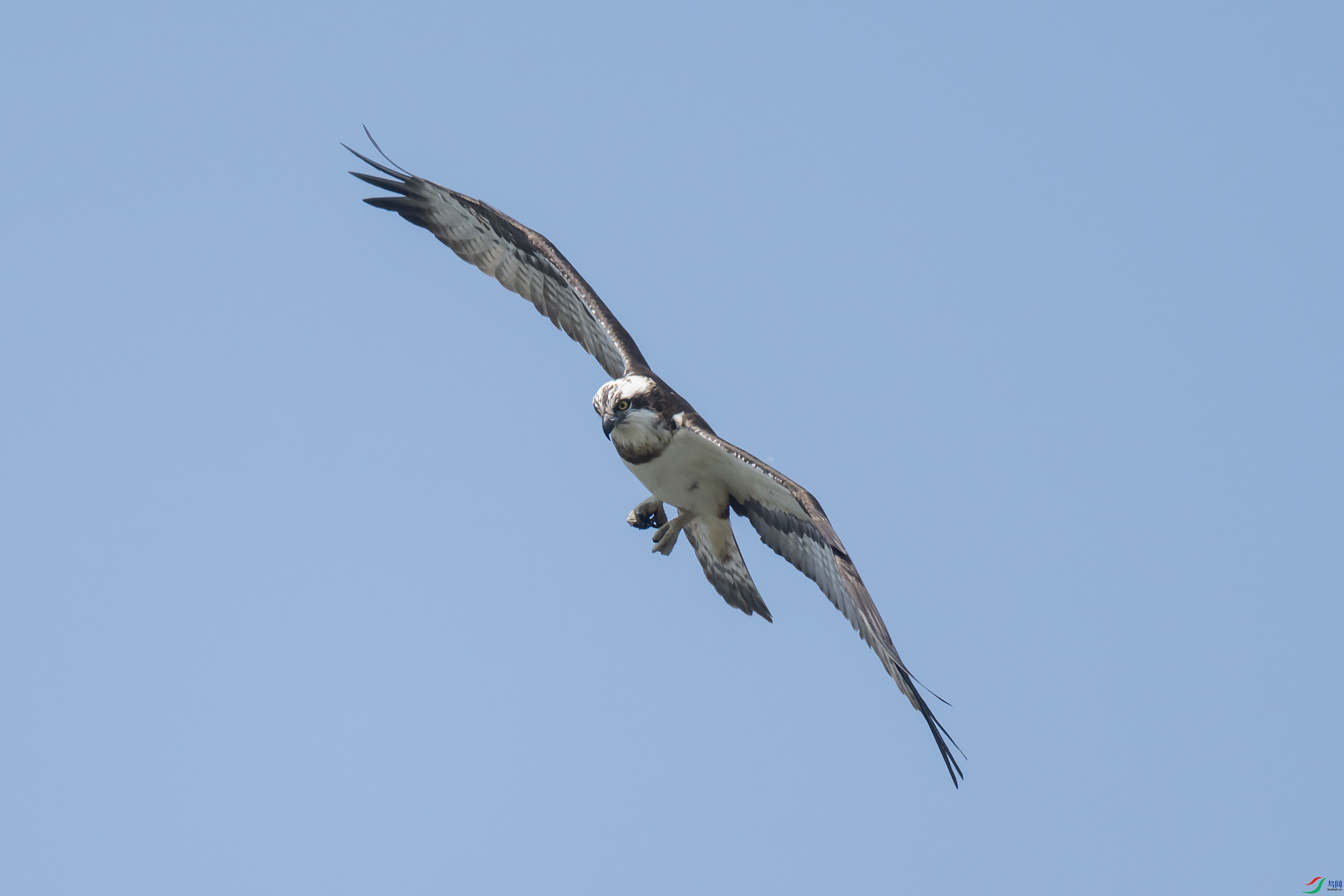 DSC_7900 ����.jpg