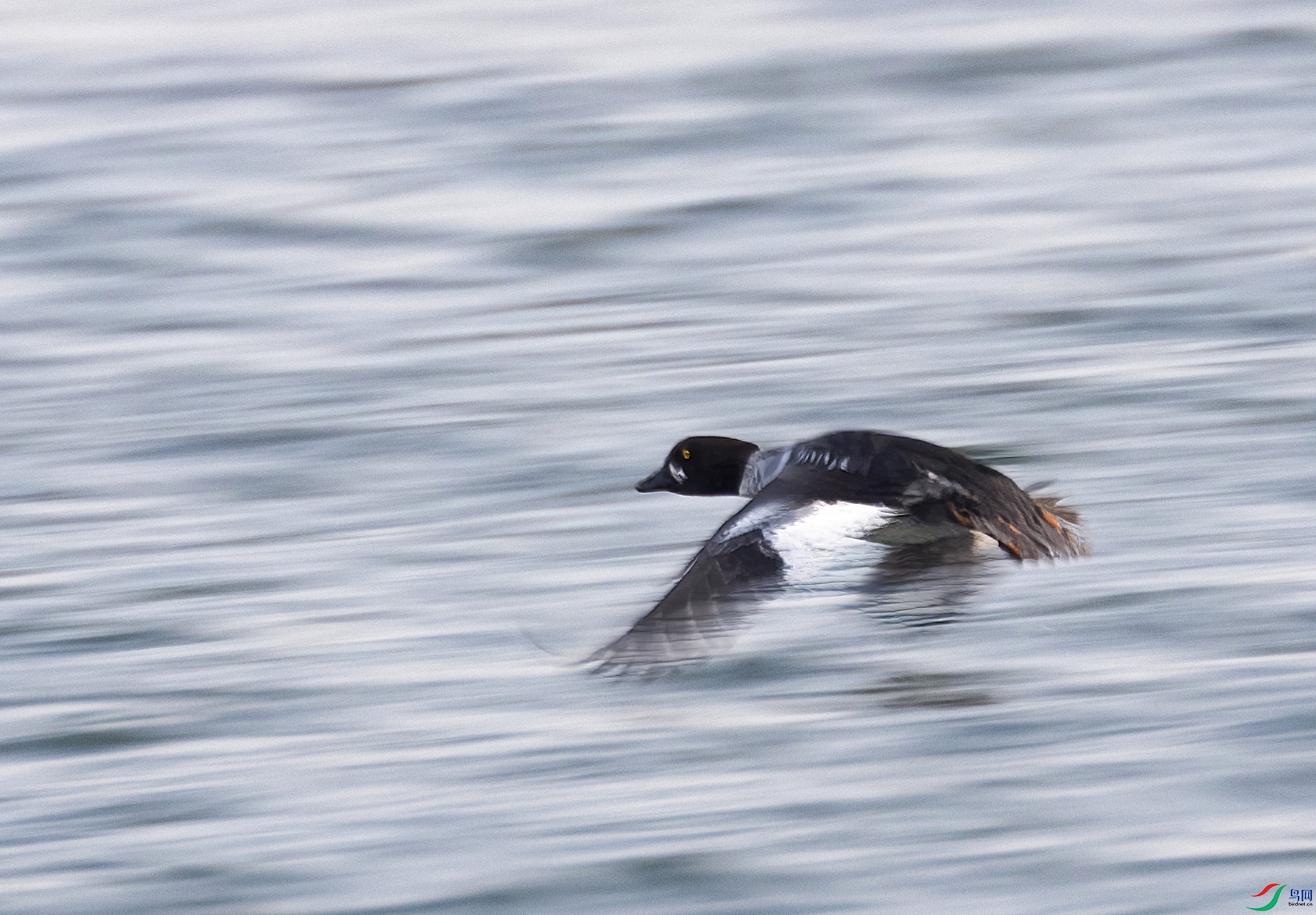 C87A2878 ���� 2.jpg