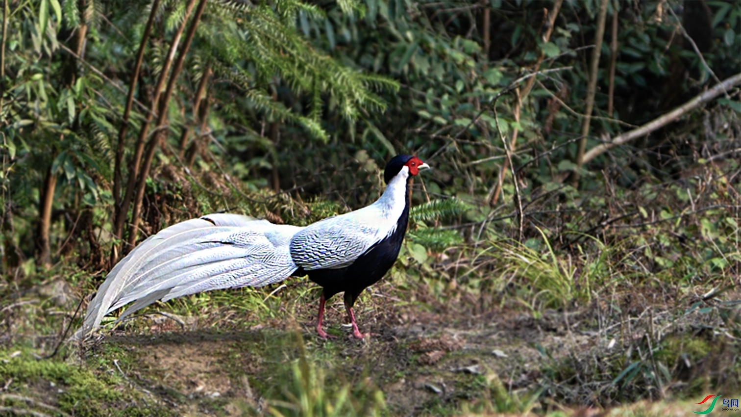 ΢��ͼƬ_20250331094419 ����.jpg