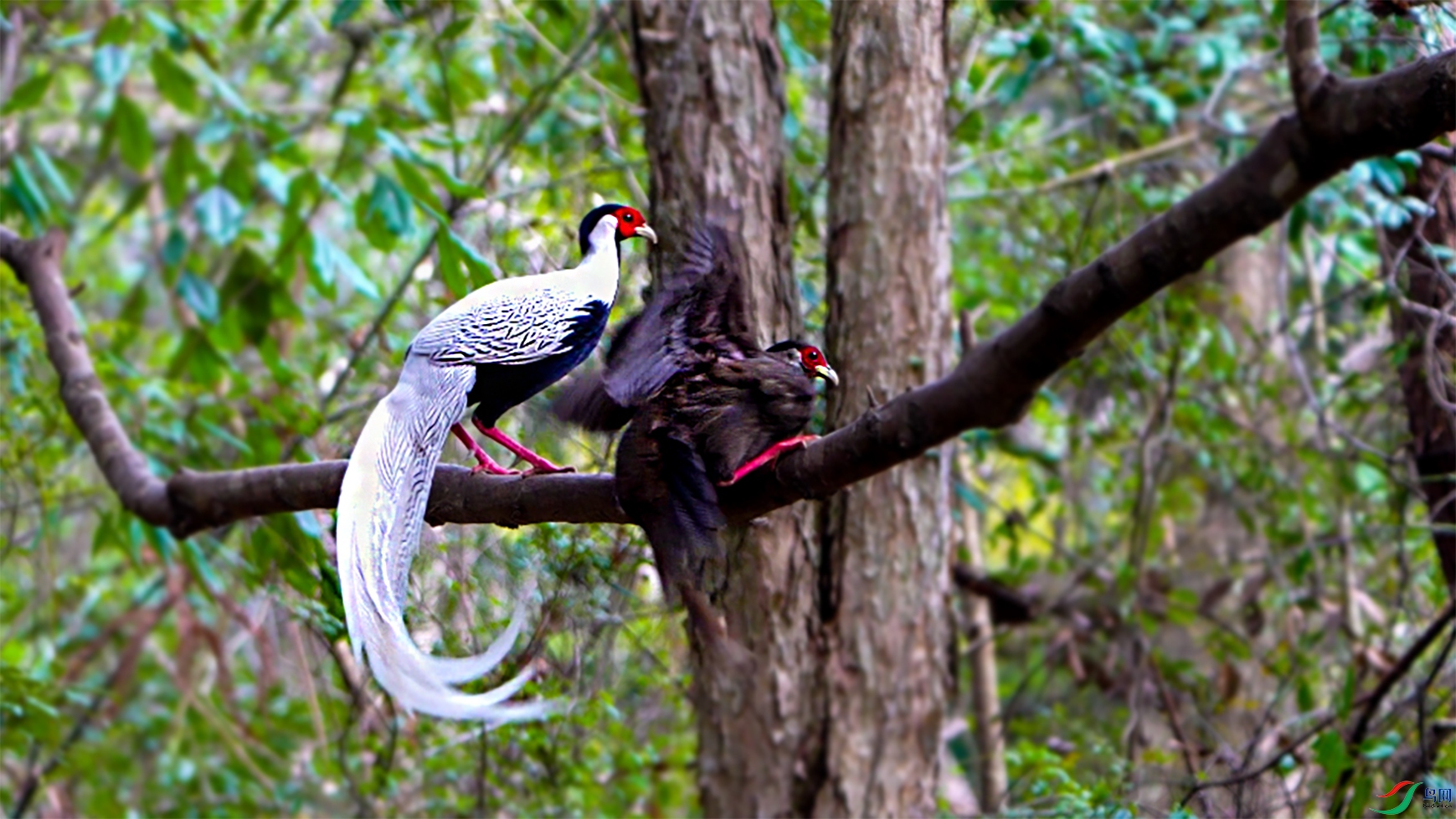 ΢��ͼƬ_20250331110830 ����.jpg