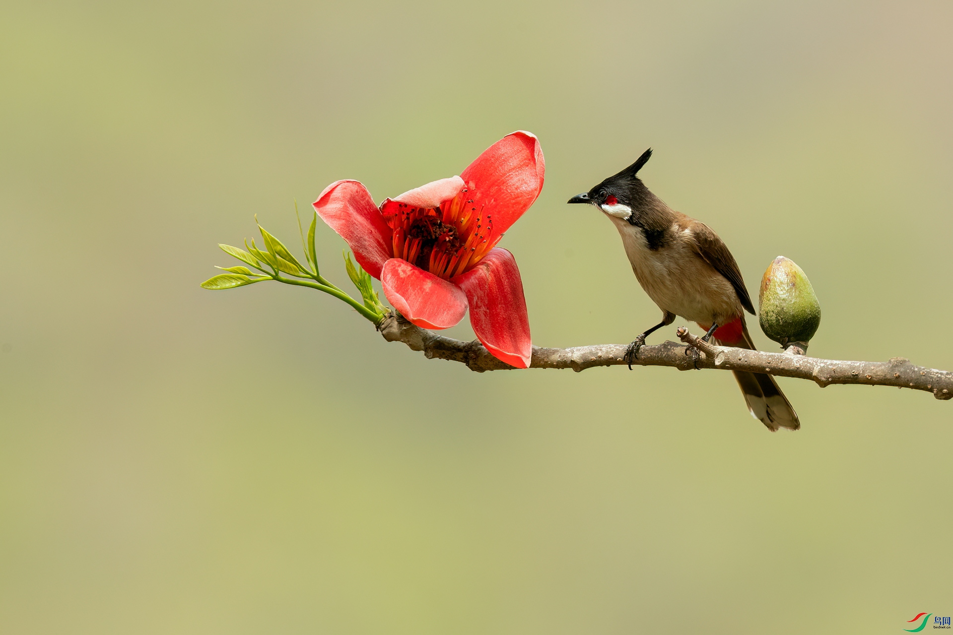 B86I0066 _����.jpg