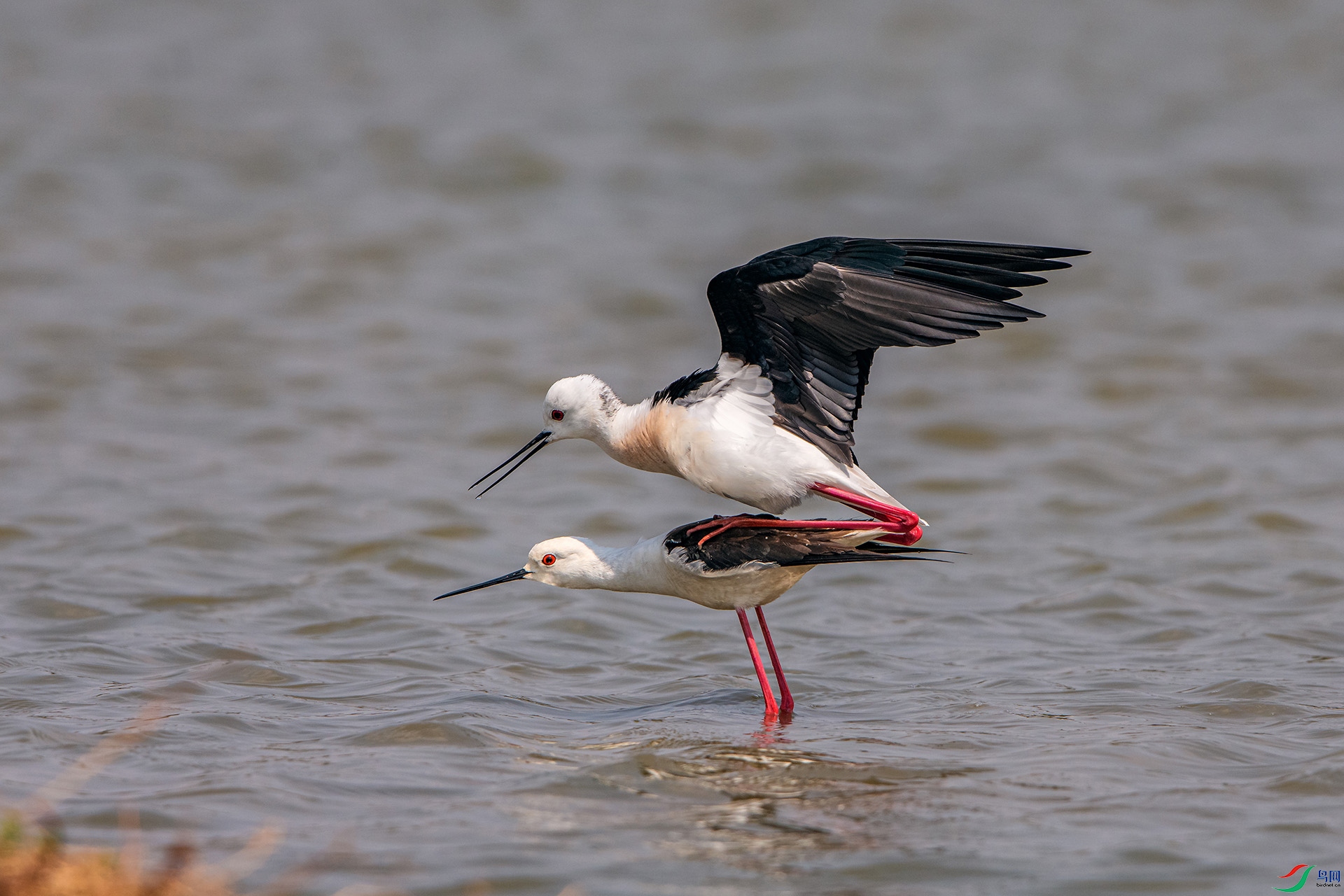 _AUU0405ůů��Ի(24.3.30).jpg