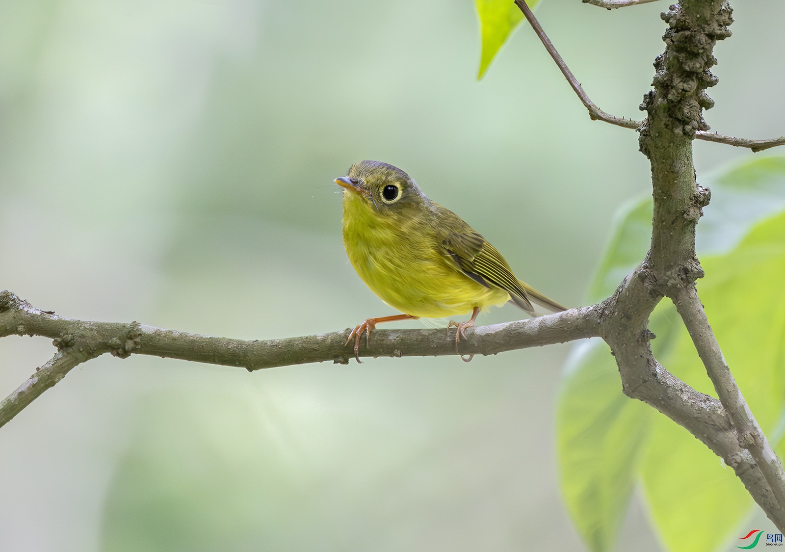 2I1A9143-����ǿ-NR ����.jpg