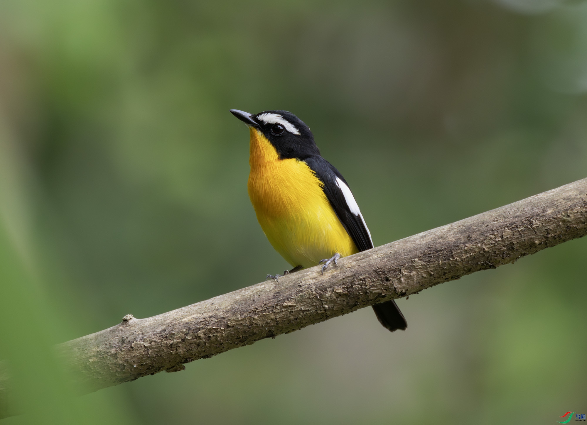 2I1A8671-����ǿ-NR ����.jpg