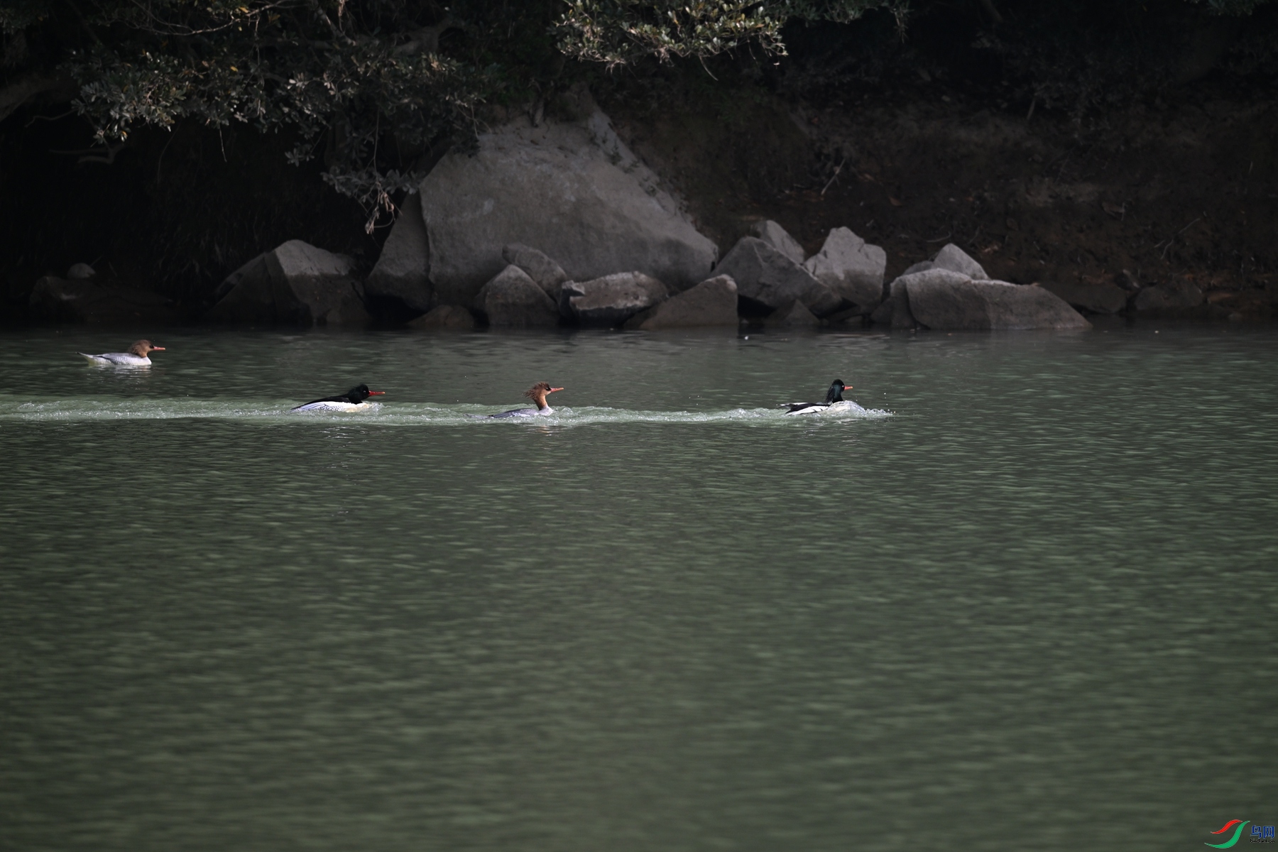 DSC_7165.JPG