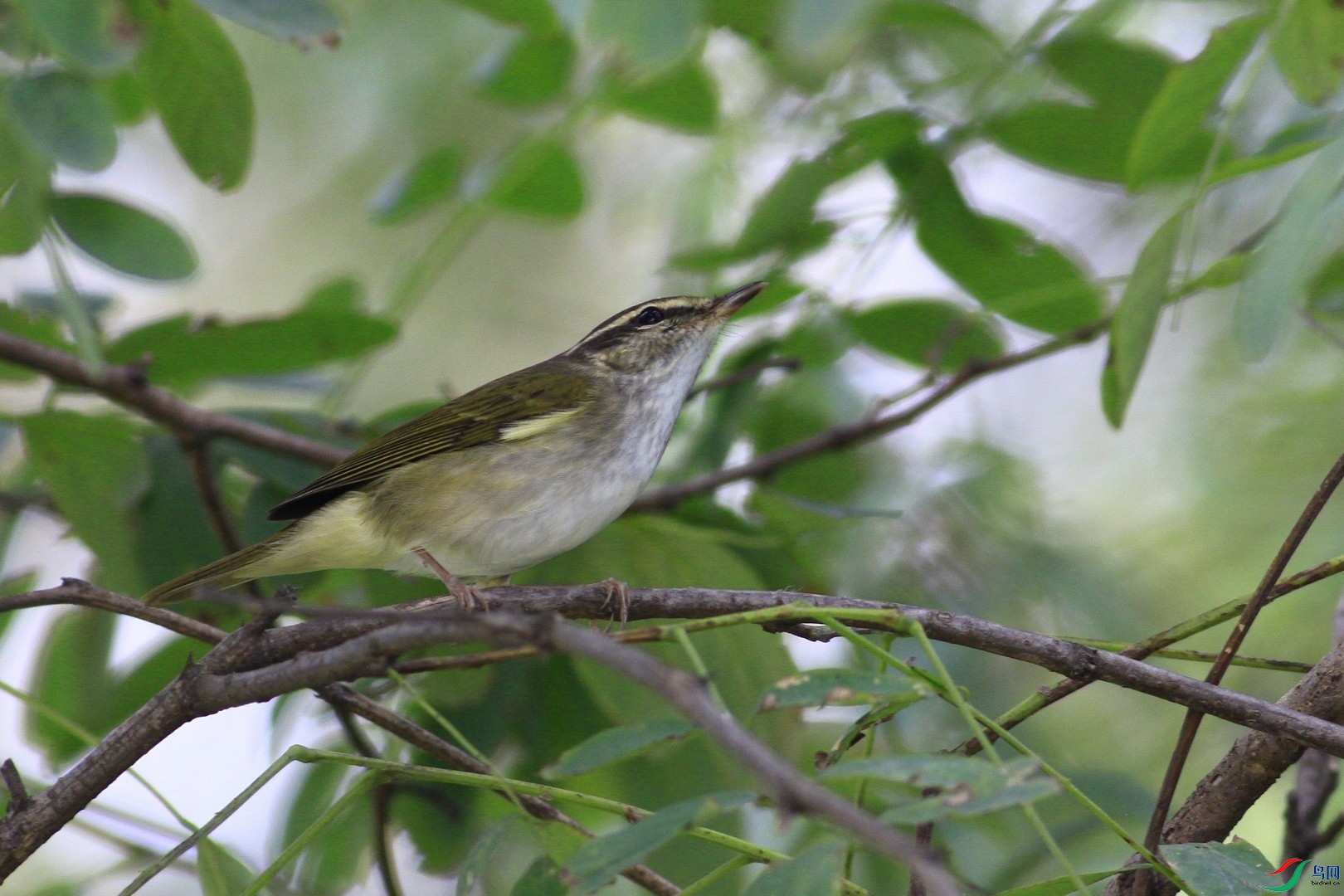 5    ������ݺ  _MG_6788.jpg