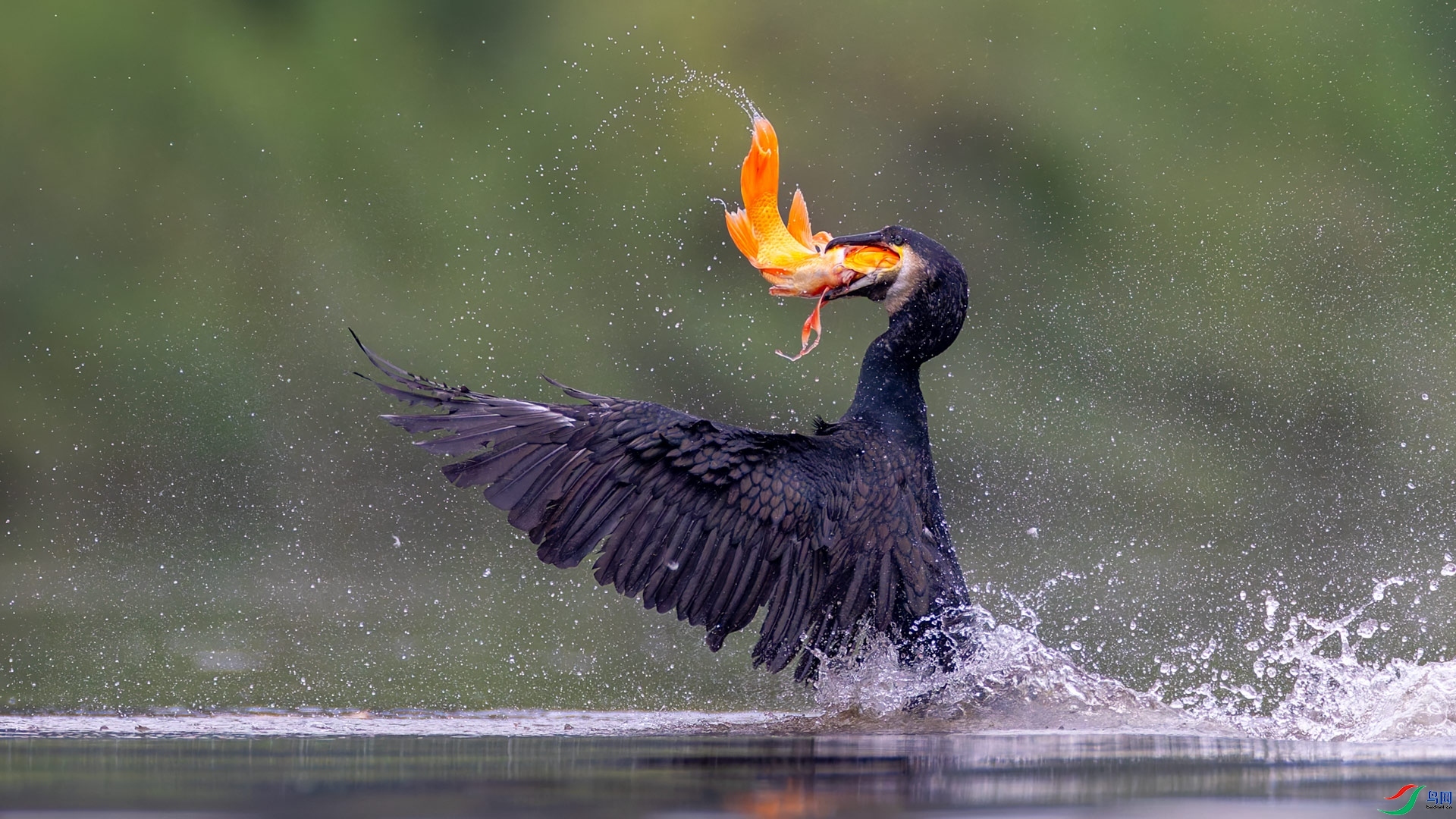 4.13����716��ʦ��Ʒ   ������� ��ף���ٻ��Ա������.jpg