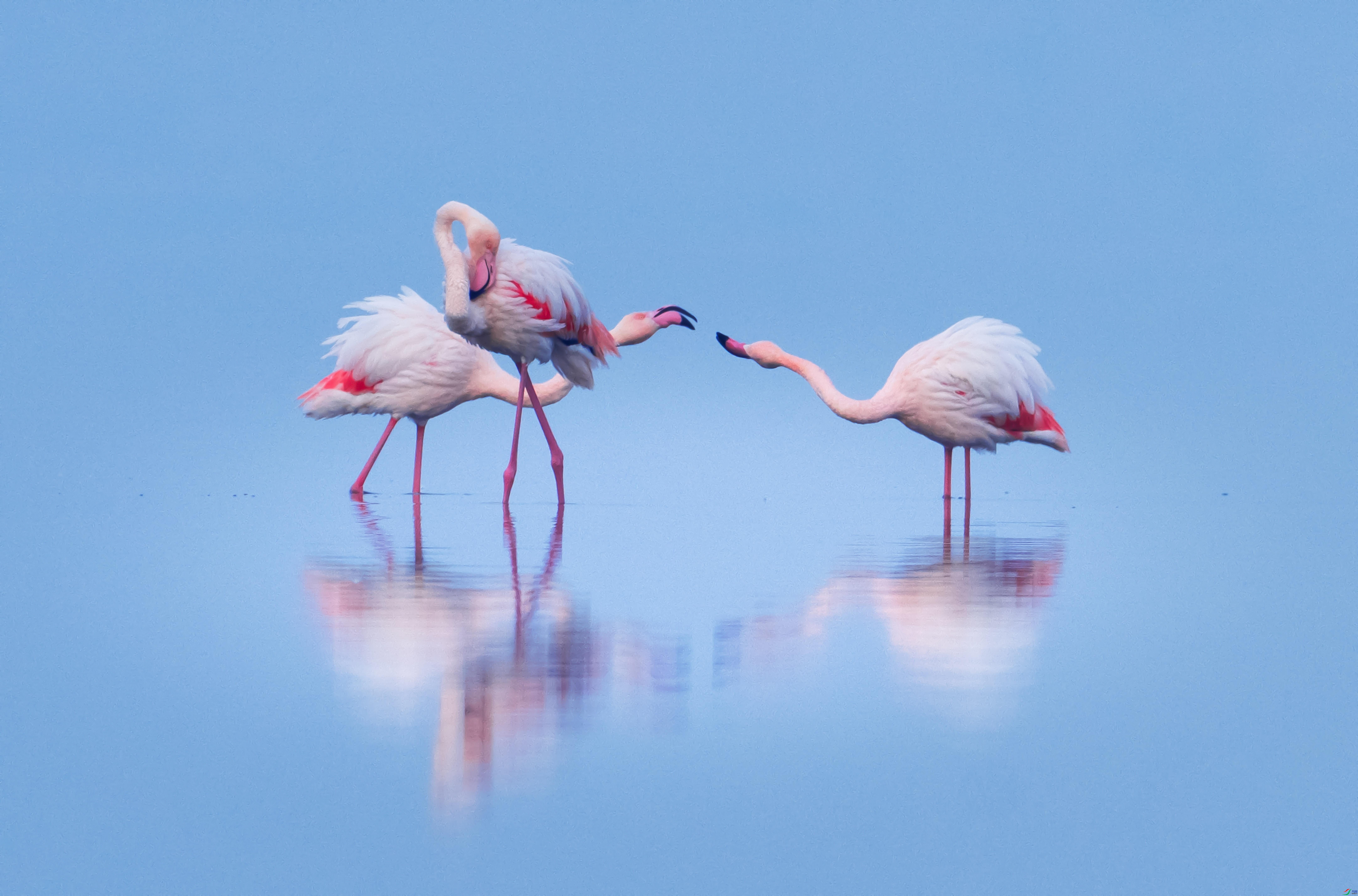 4.14����������ʦ��Ʒ   ���¾��� ��ף���ٻ����������.jpg