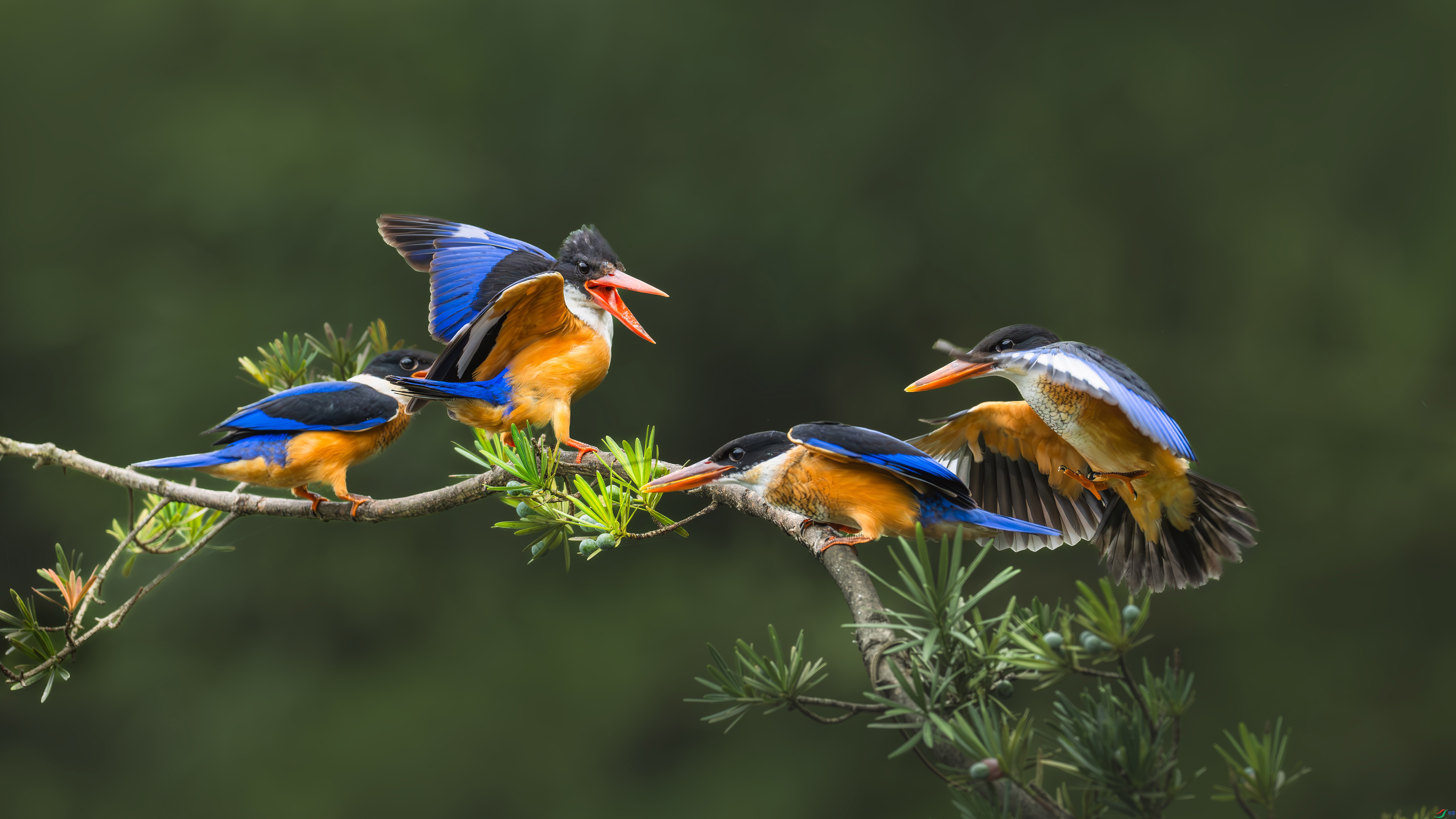 4.17С������ʦ��Ʒ   ����һ��.jpg