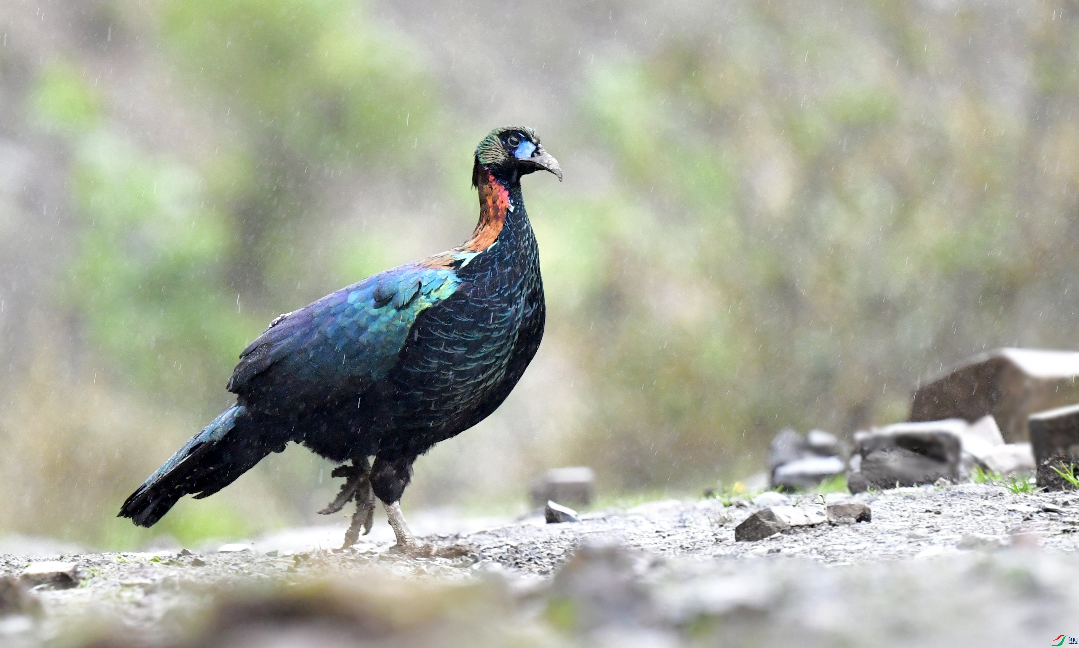 4.18��ͷ��69��ʦ��Ʒ   ����������ף���ٻ���Ӱʦ������.jpg