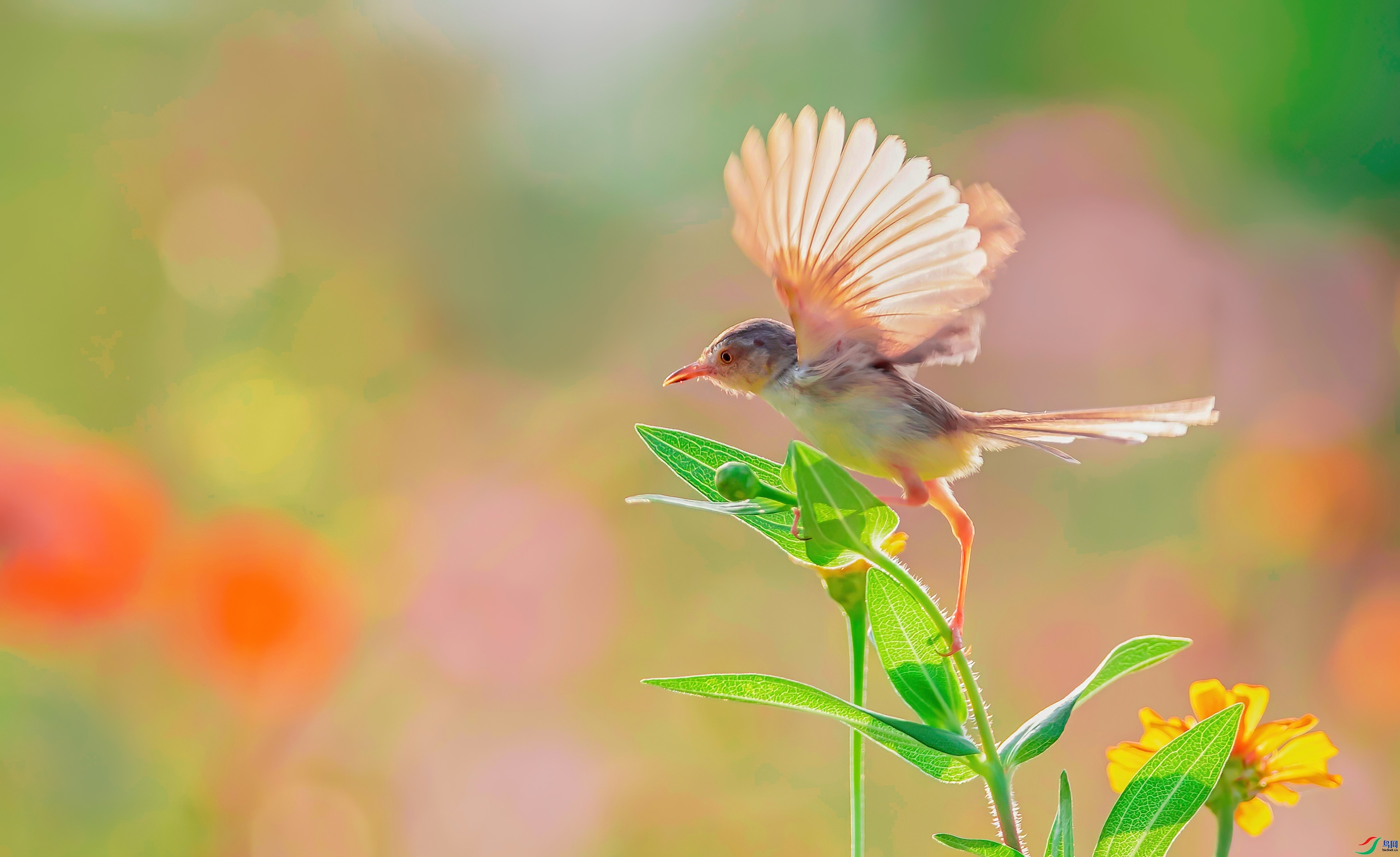 4.18��������ʦ��Ʒ   ����Ŀ�꣨ף���ٻ����Ѿ�����.jpg