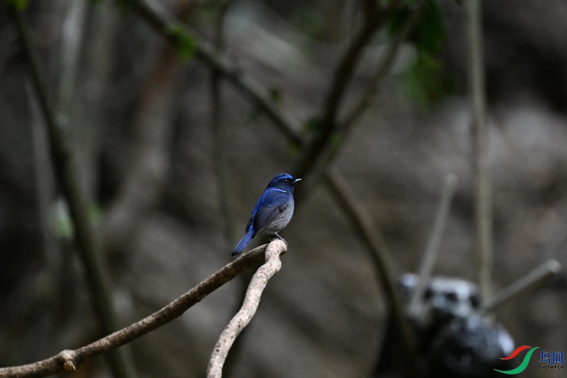 DSC_2754.JPG