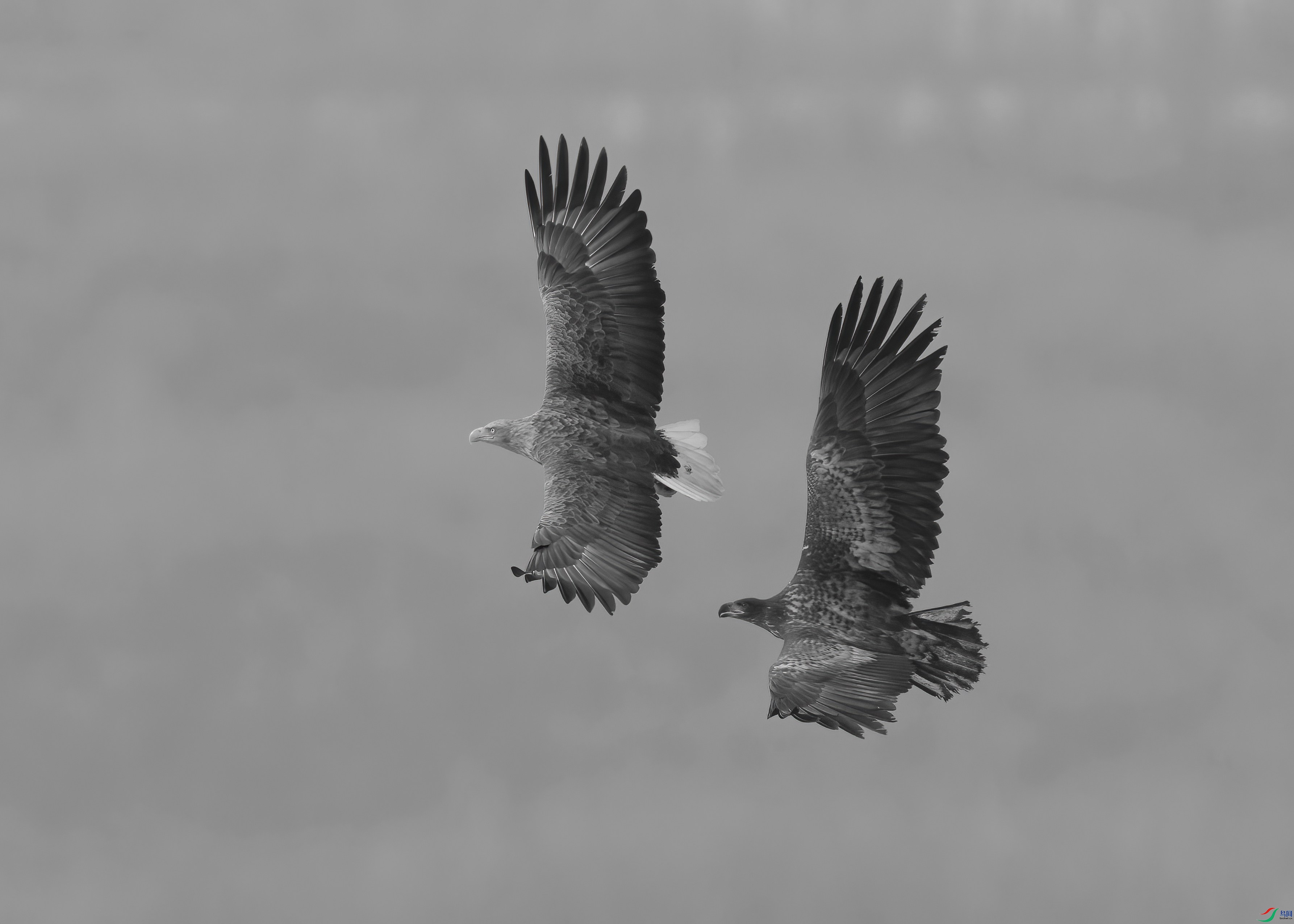 DSC09038 ���� 2_����.jpg